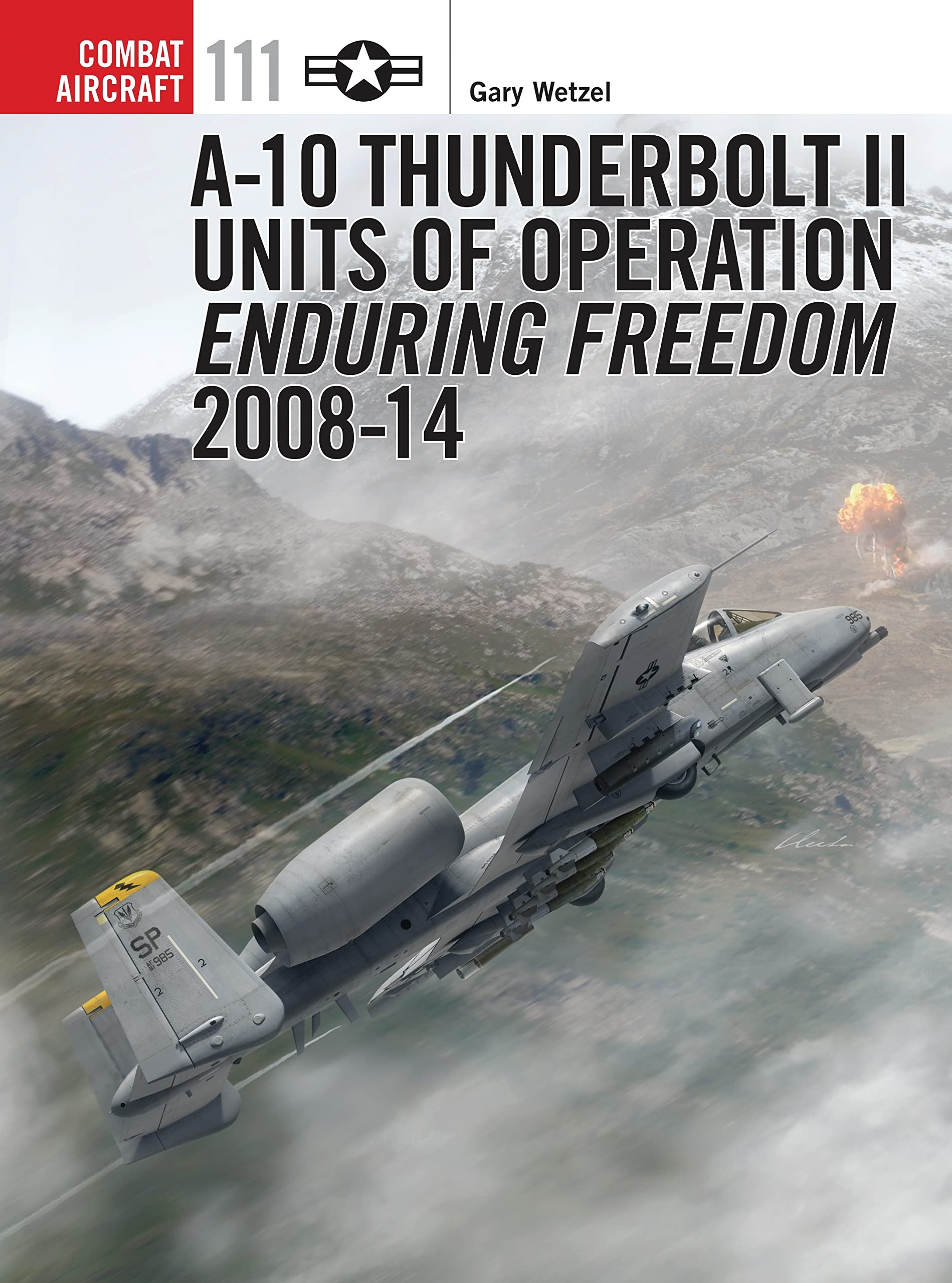 A-10 Thunderbolt II Units of Operation Enduring Freedom 2008-14. book