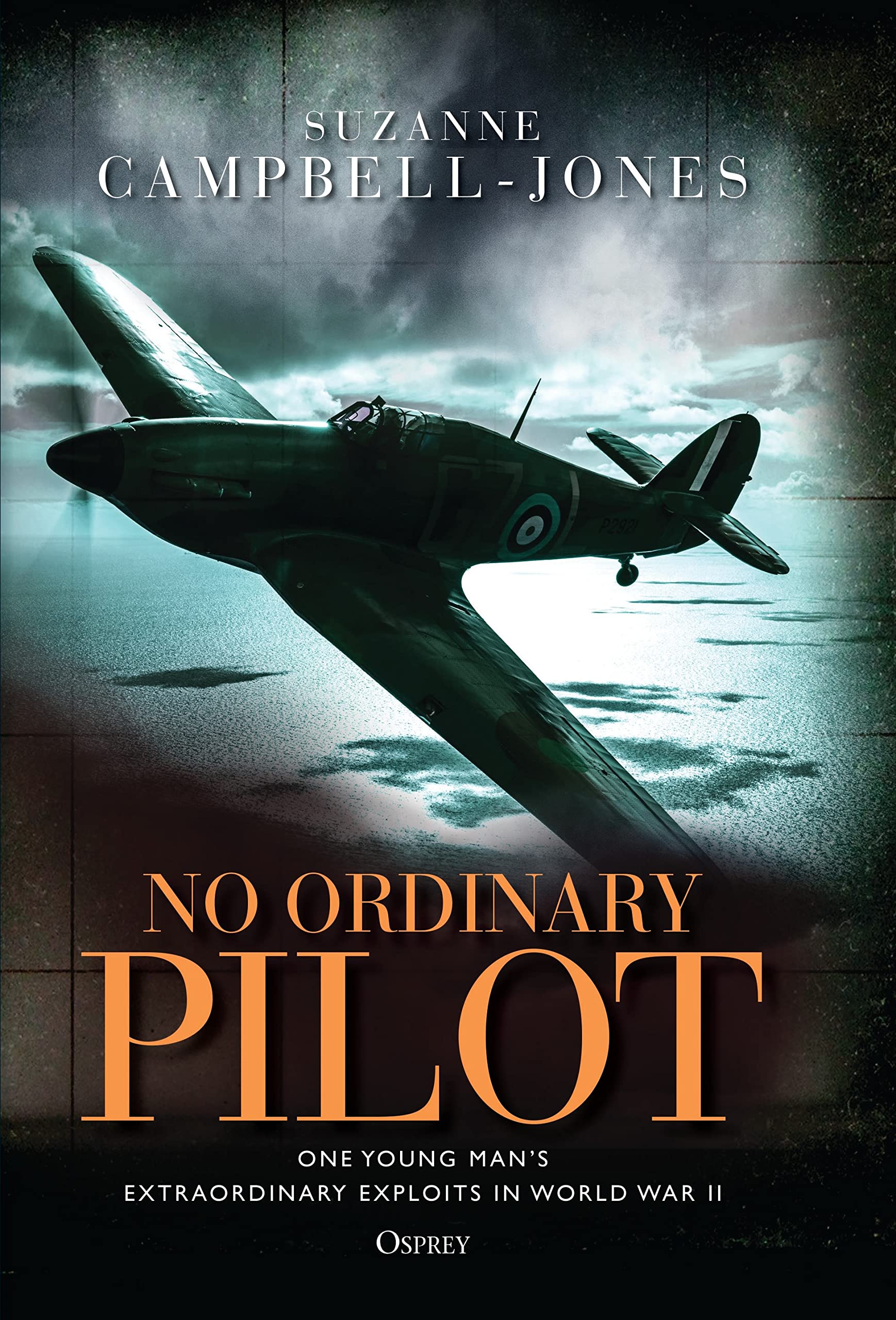 No Ordinary Pilot: One young man’s extraordinary exploits in World War II Biographies & Memoirs