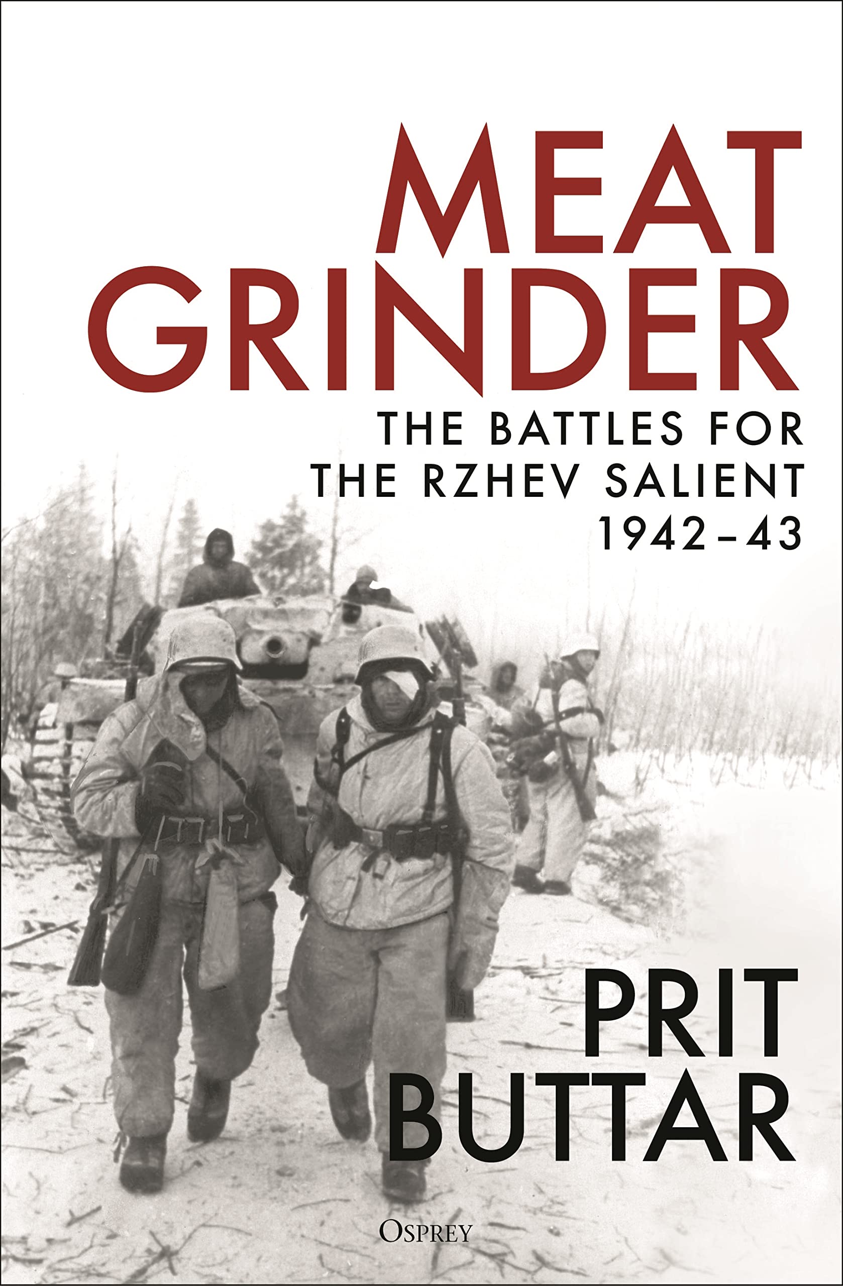 Meat Grinder: The Battles for the Rzhev Salient, 1942–43 Social Sciences
