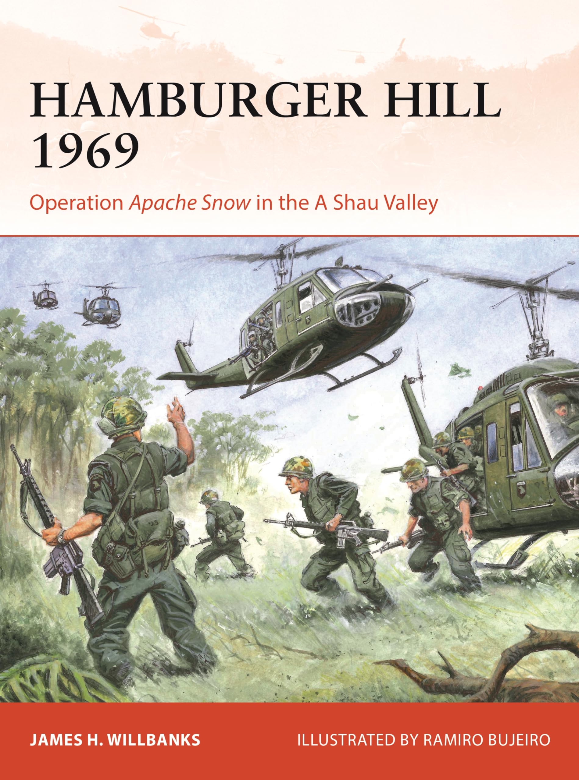 Hamburger Hill 1969: Operation Apache Snow in the A Shau Valley (Campaign) Social Sciences