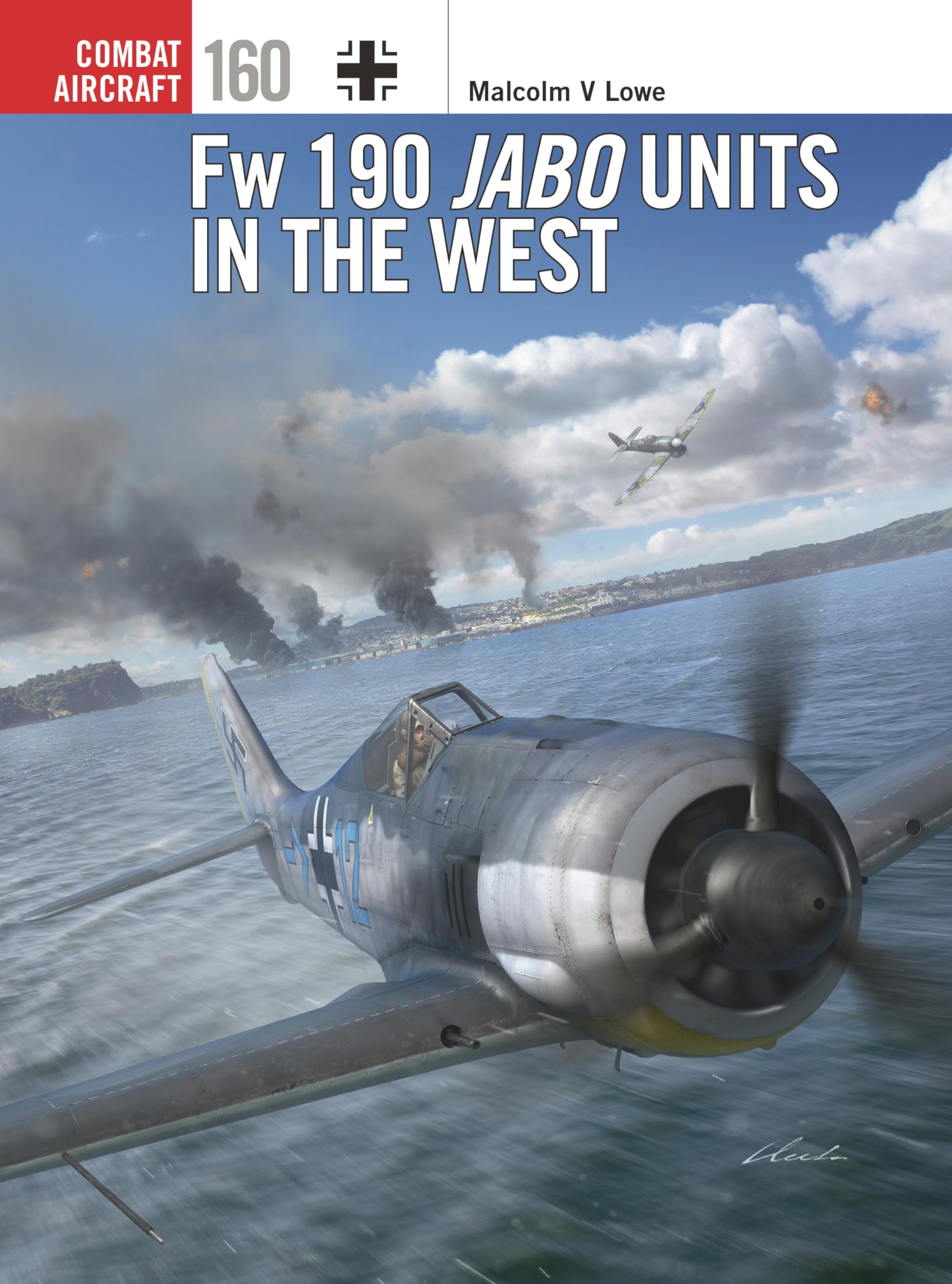 Fw 190 Jabo Units in the West (Combat Aircraft) Business & Technology