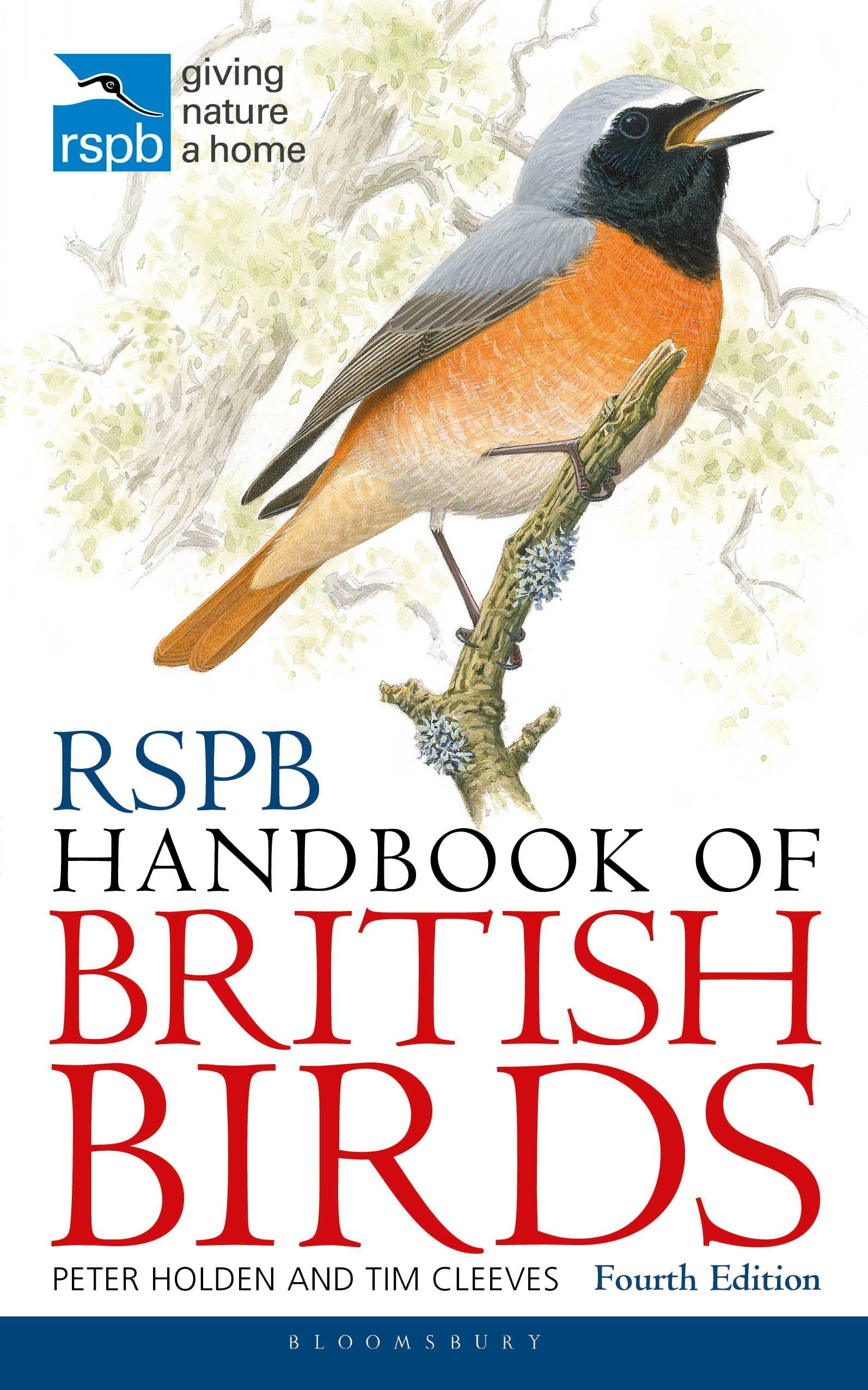 RSPB Handbook of British Birds Mathematics