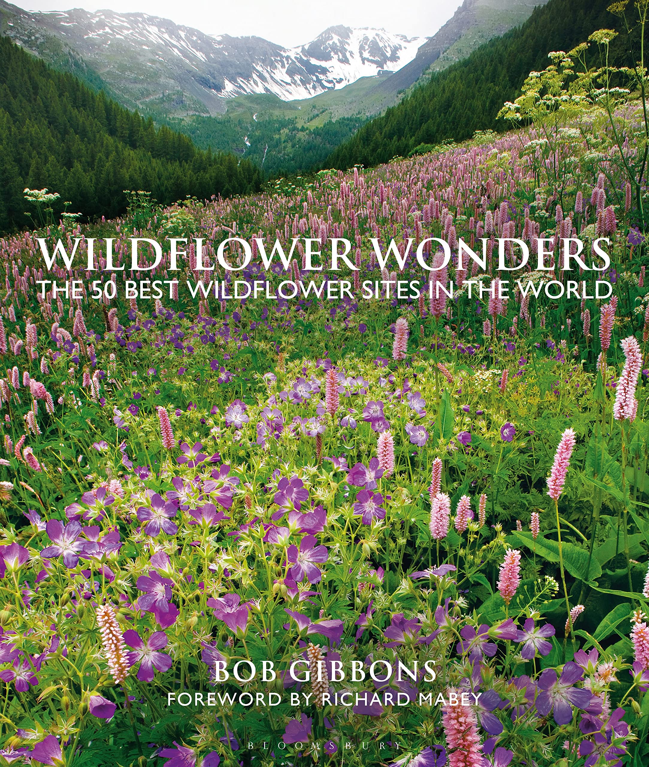 Wildflower Wonders: The 50 Best Wildflower Sites in the World Mathematics