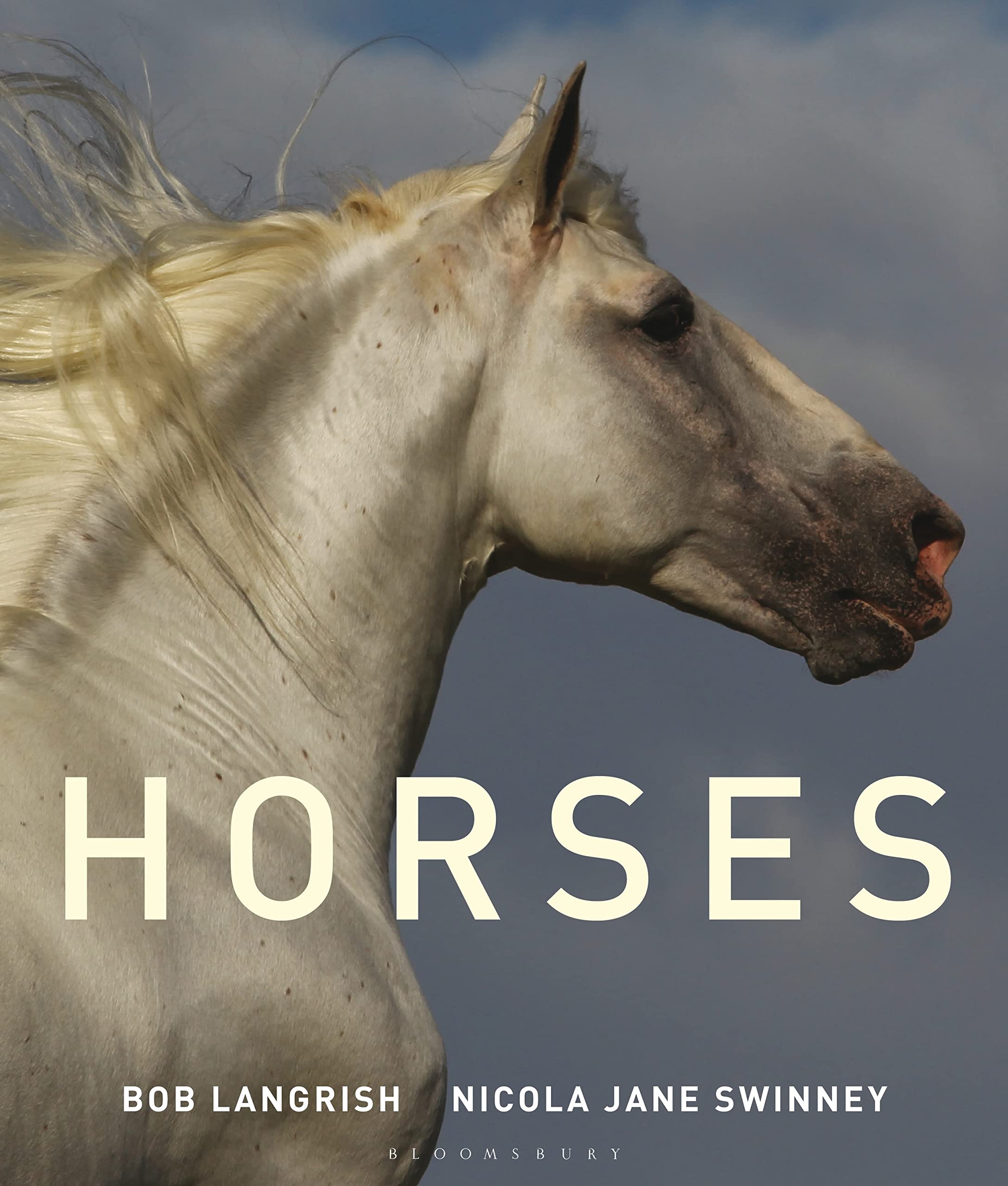 Horses Mathematics