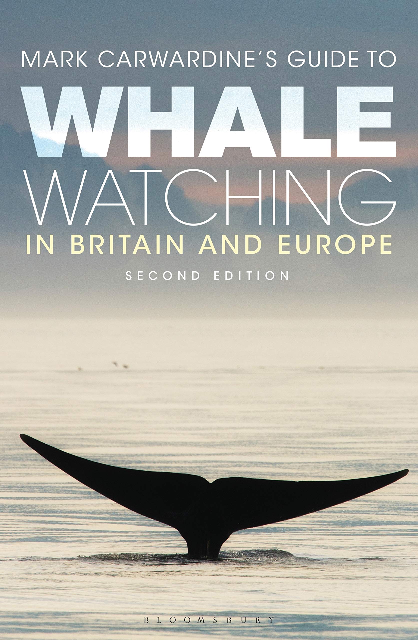 Mark Carwardine's Guide To Whale Watching In Britain And Europe: Second Edition Mathematics