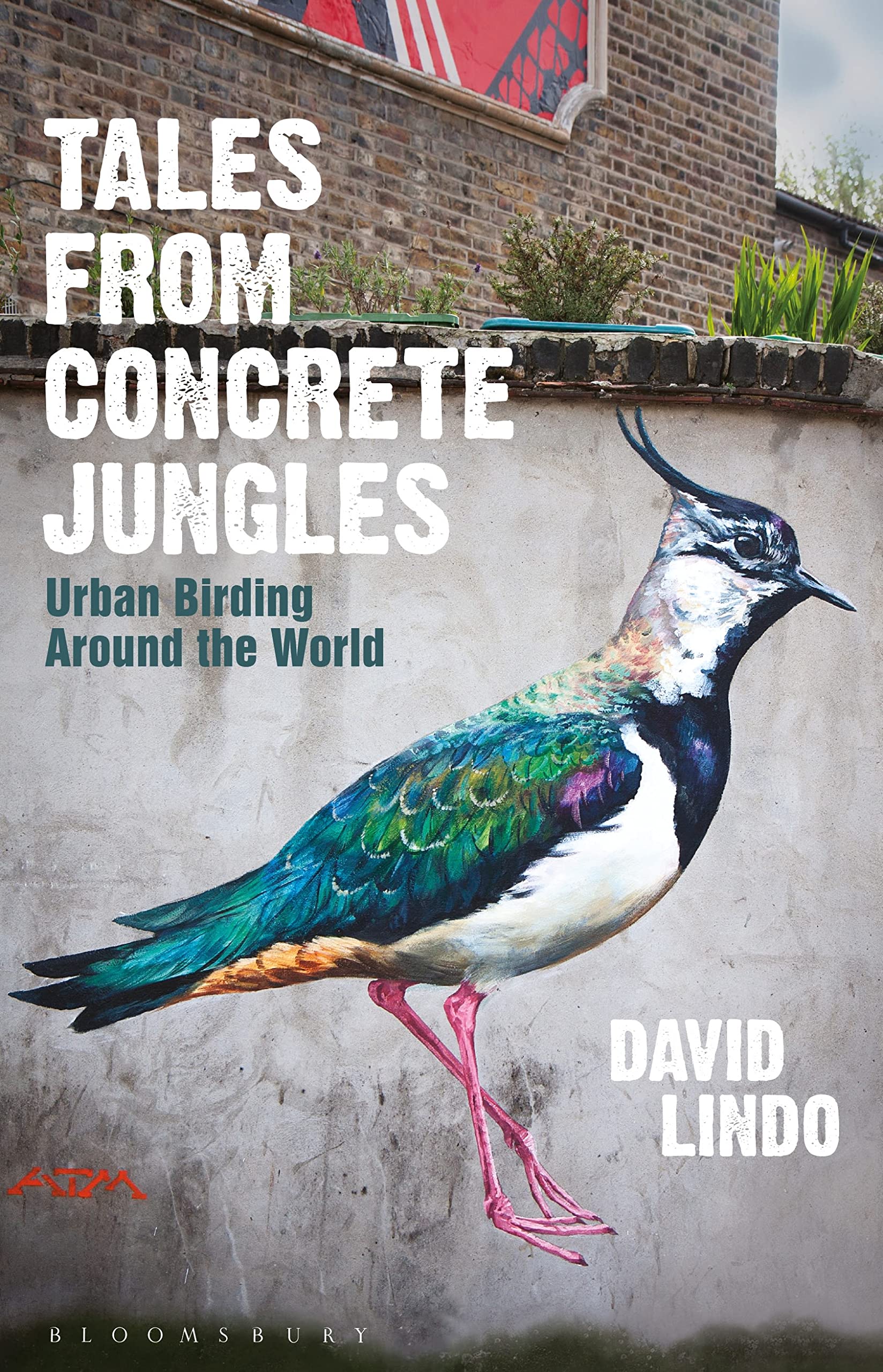 Tales from Concrete Jungles: Urban Birding Around the World Mathematics