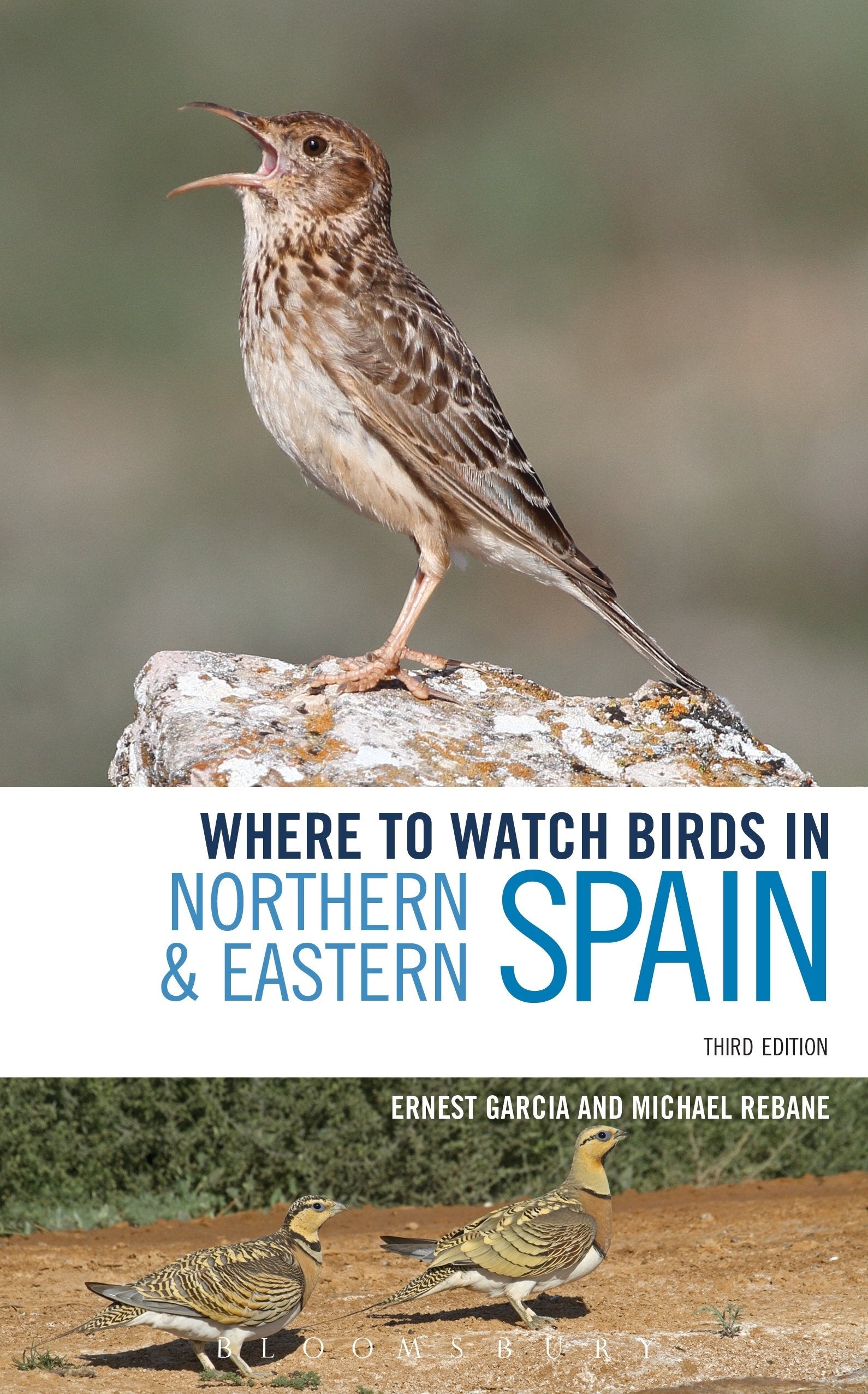 Where to Watch Birds in Northern and Eastern Spain Mathematics