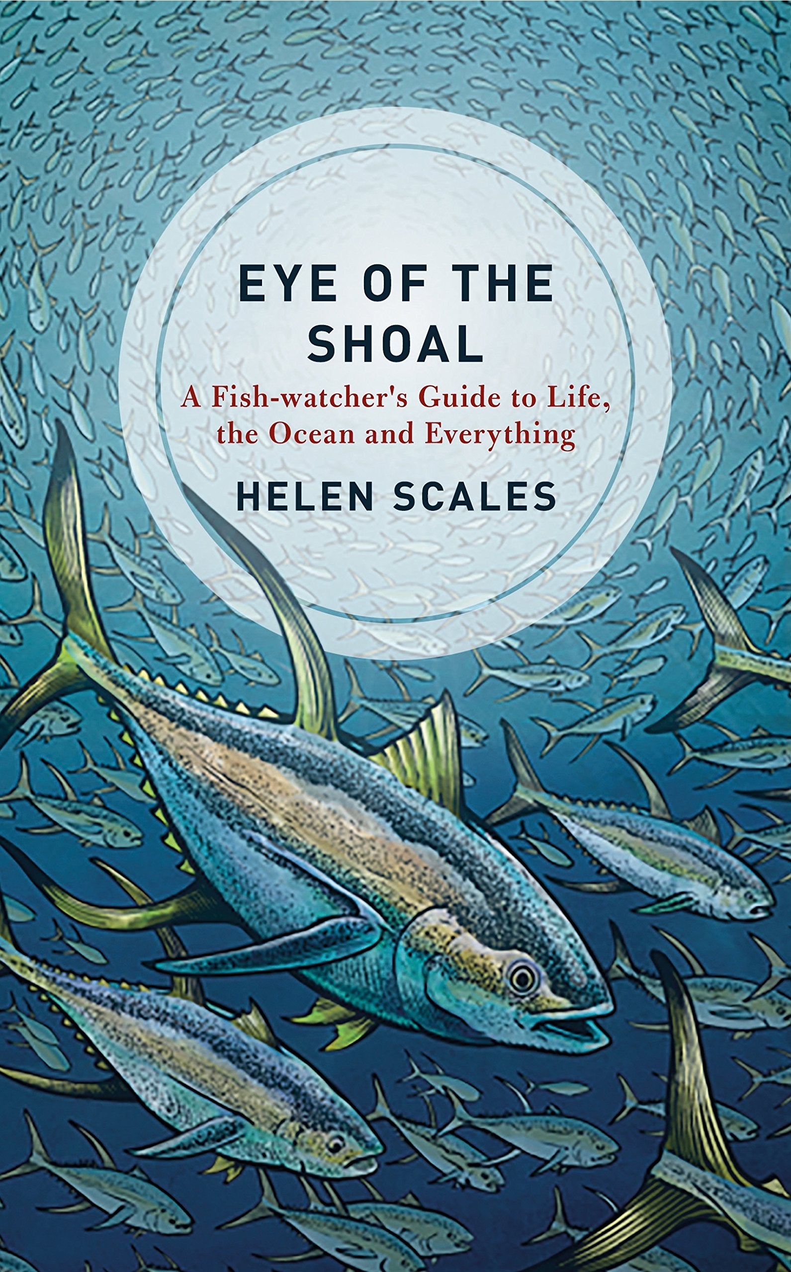Eye of the Shoal: A Fishwatcher's Guide to Life, the Ocean and Everything Mathematics
