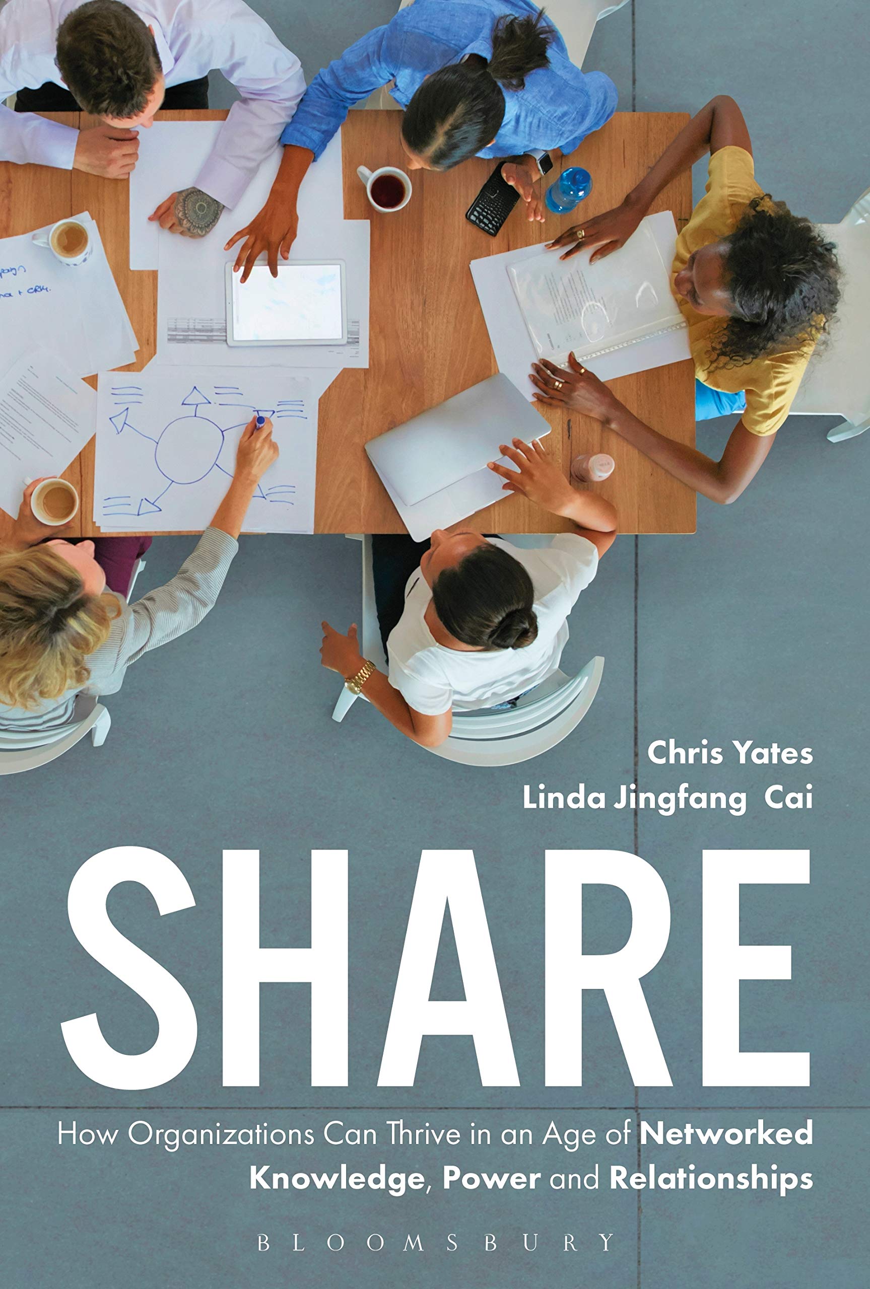 Share: How Organizations Can Thrive in an Age of Networked Knowledge, Power and Relationships Law