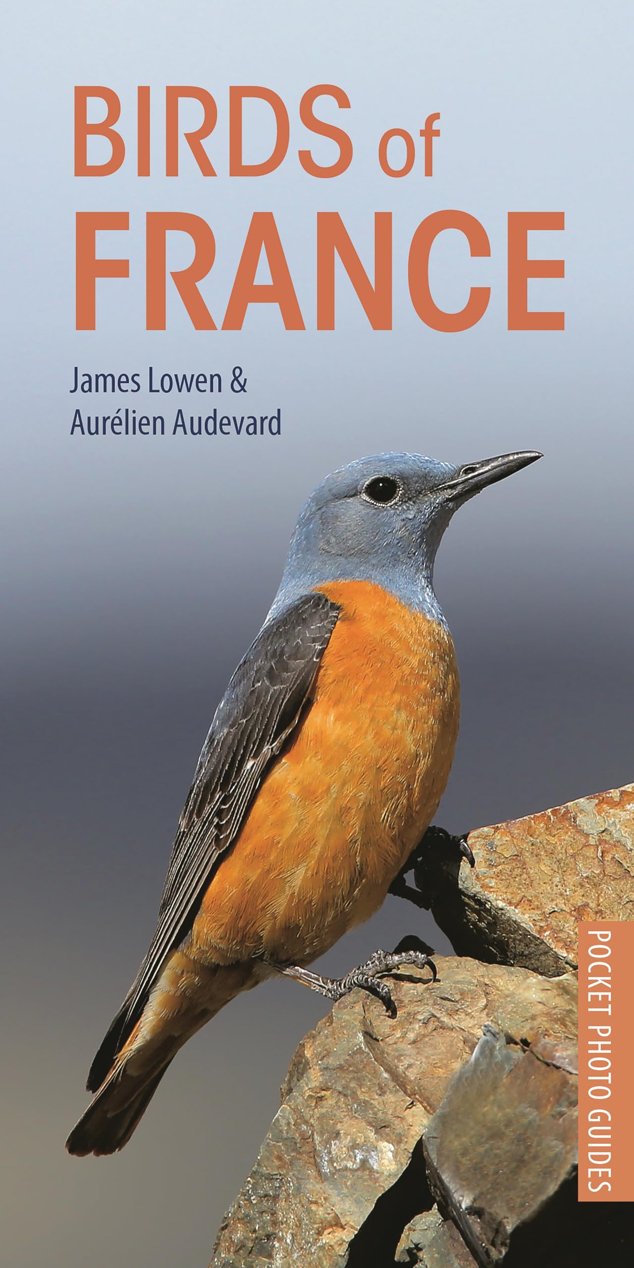 Birds of France Mathematics