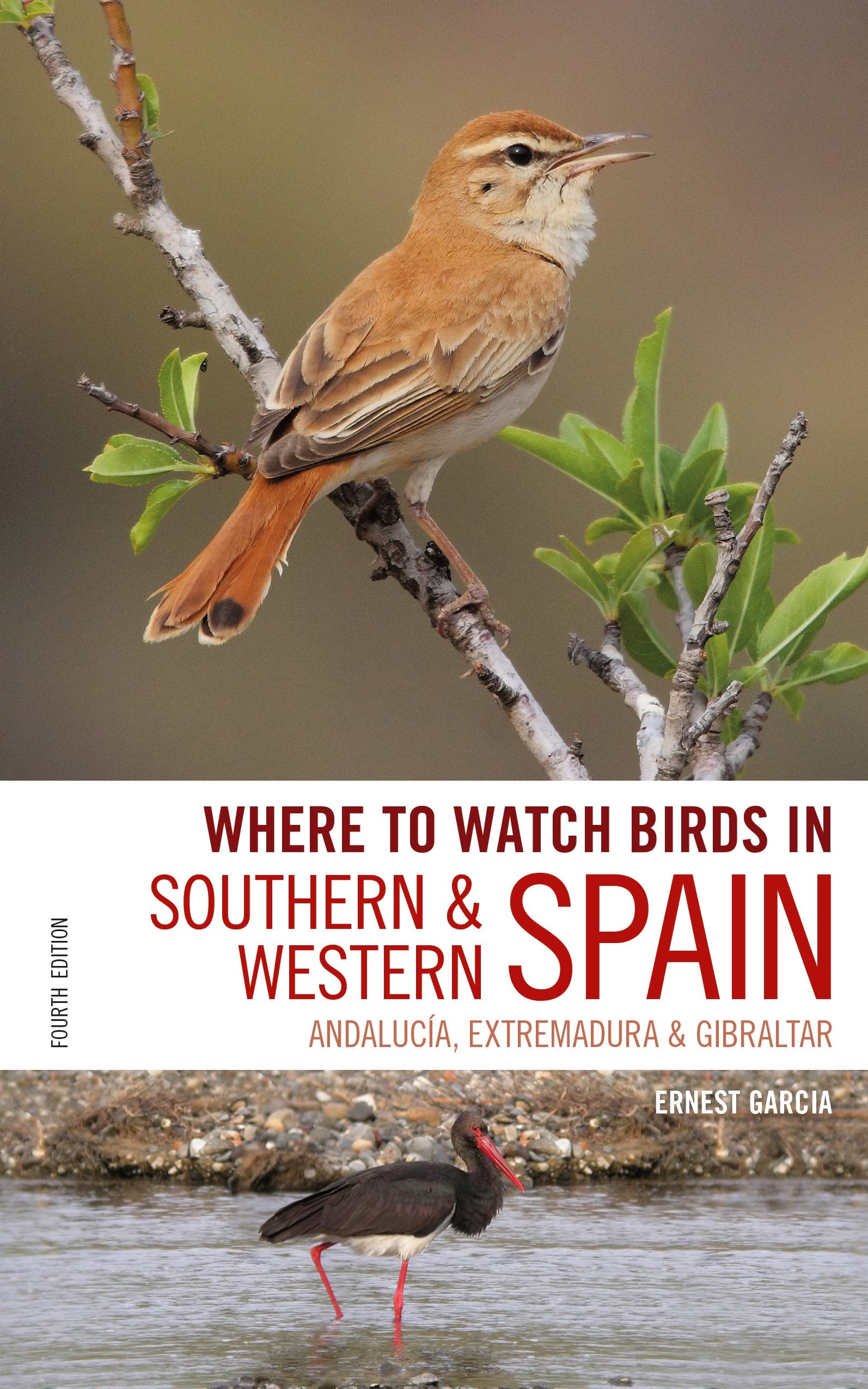 Where to Watch Birds in Southern and Western Spain: Andalucia, Extremadura and Gibraltar Mathematics