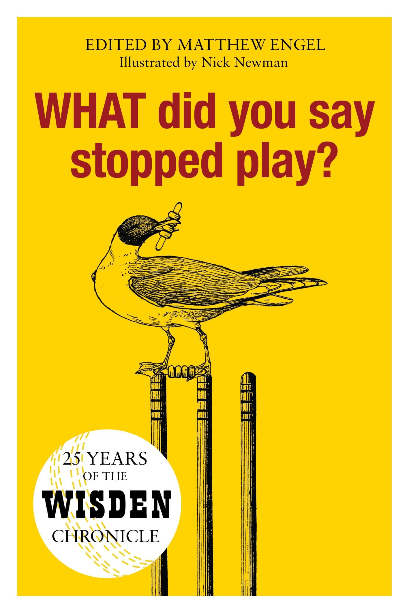 WHAT Did You Say Stopped Play?: 25 Years of the Wisden Chronicle Leisure & Fun