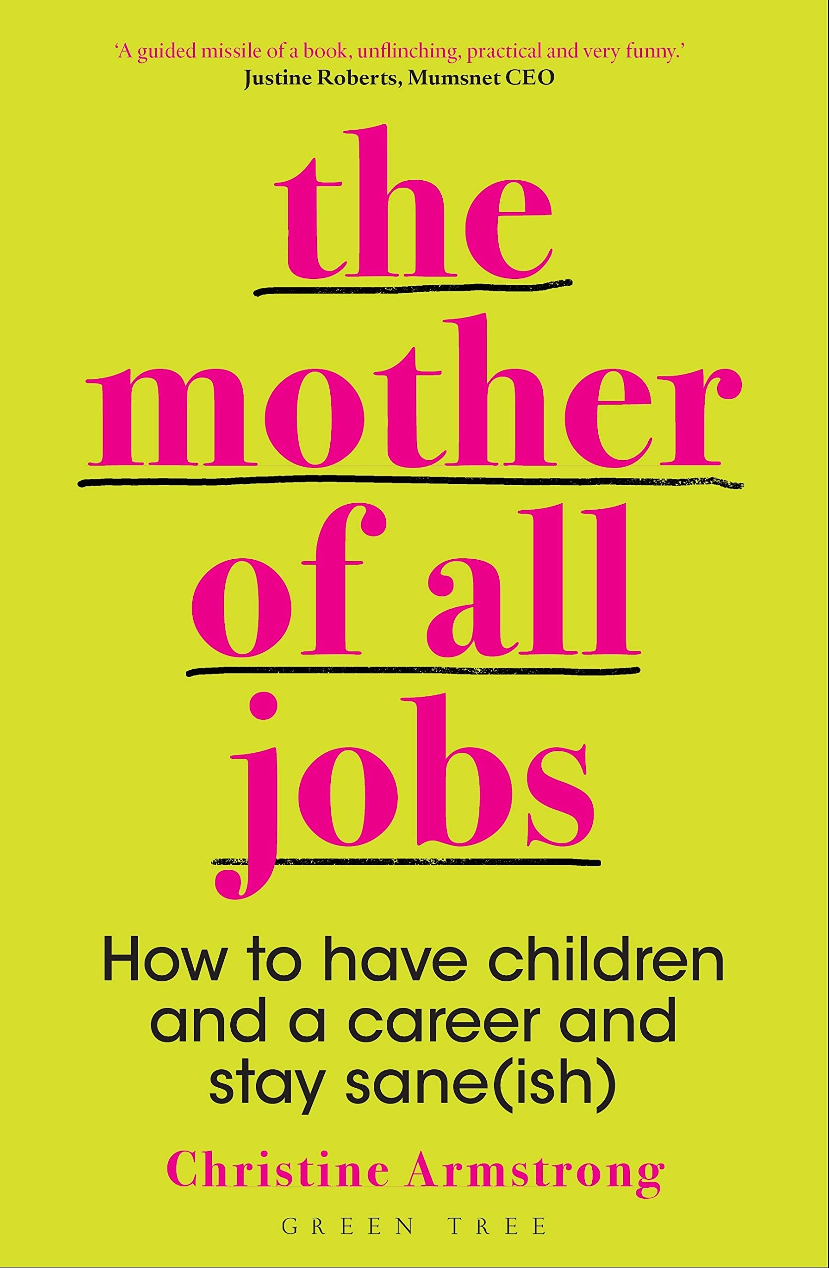 The Mother of All Jobs: How to Have Children and a Career and Stay Sane(ish) book