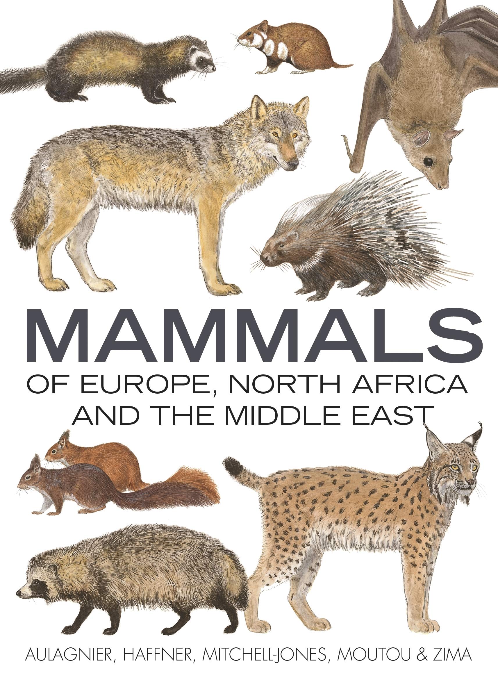 Mammals of Europe, North Africa and the Middle East (Bloomsbury Naturalist) Mathematics