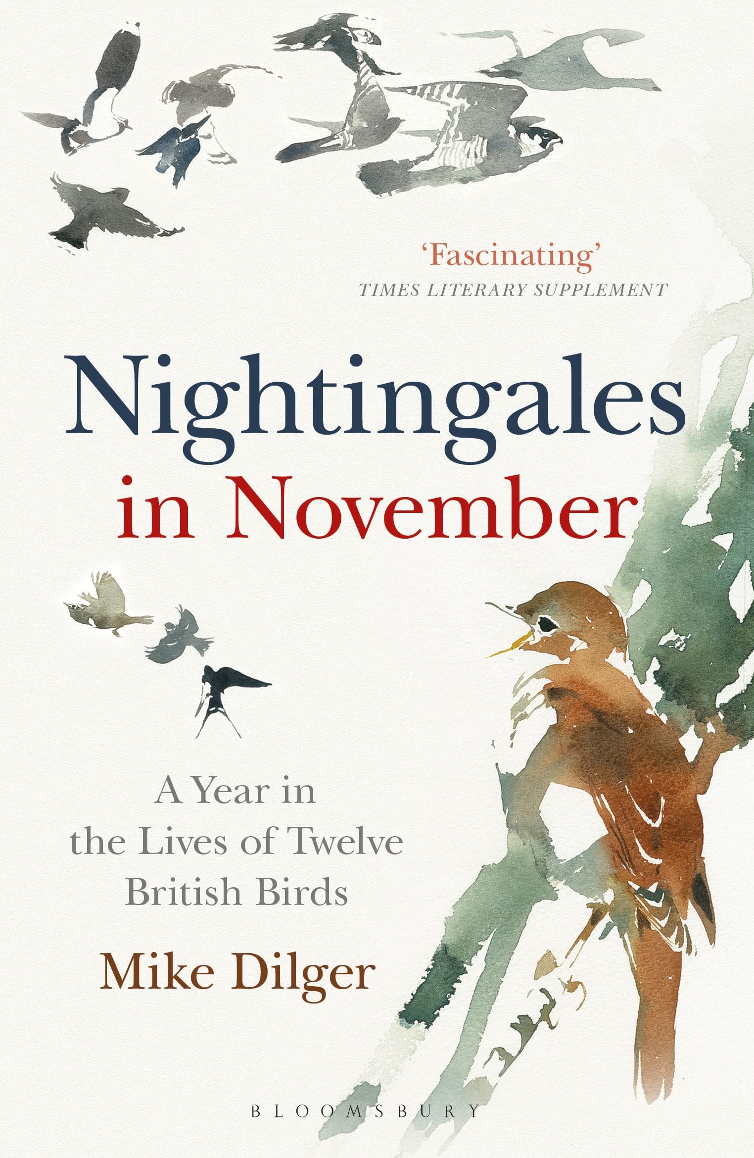 Nightingales in November: A Year in the Lives of Twelve British Birds Mathematics