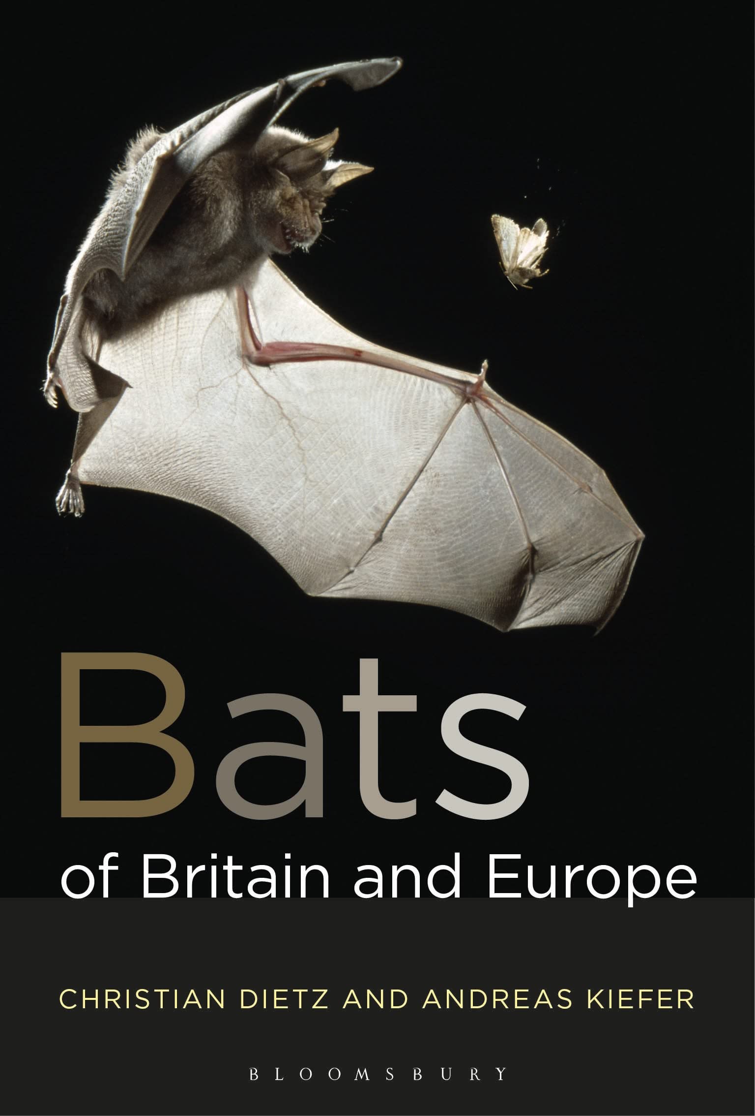 Bats of Britain and Europe book