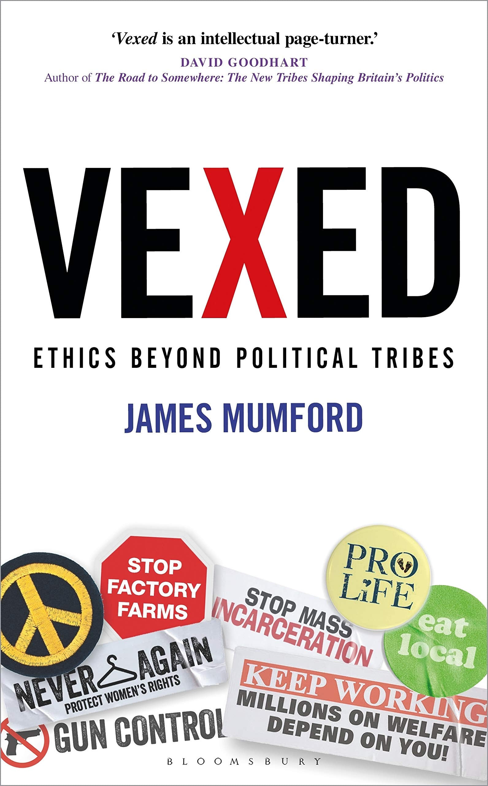 Vexed: Ethics Beyond Political Tribes Philosophy
