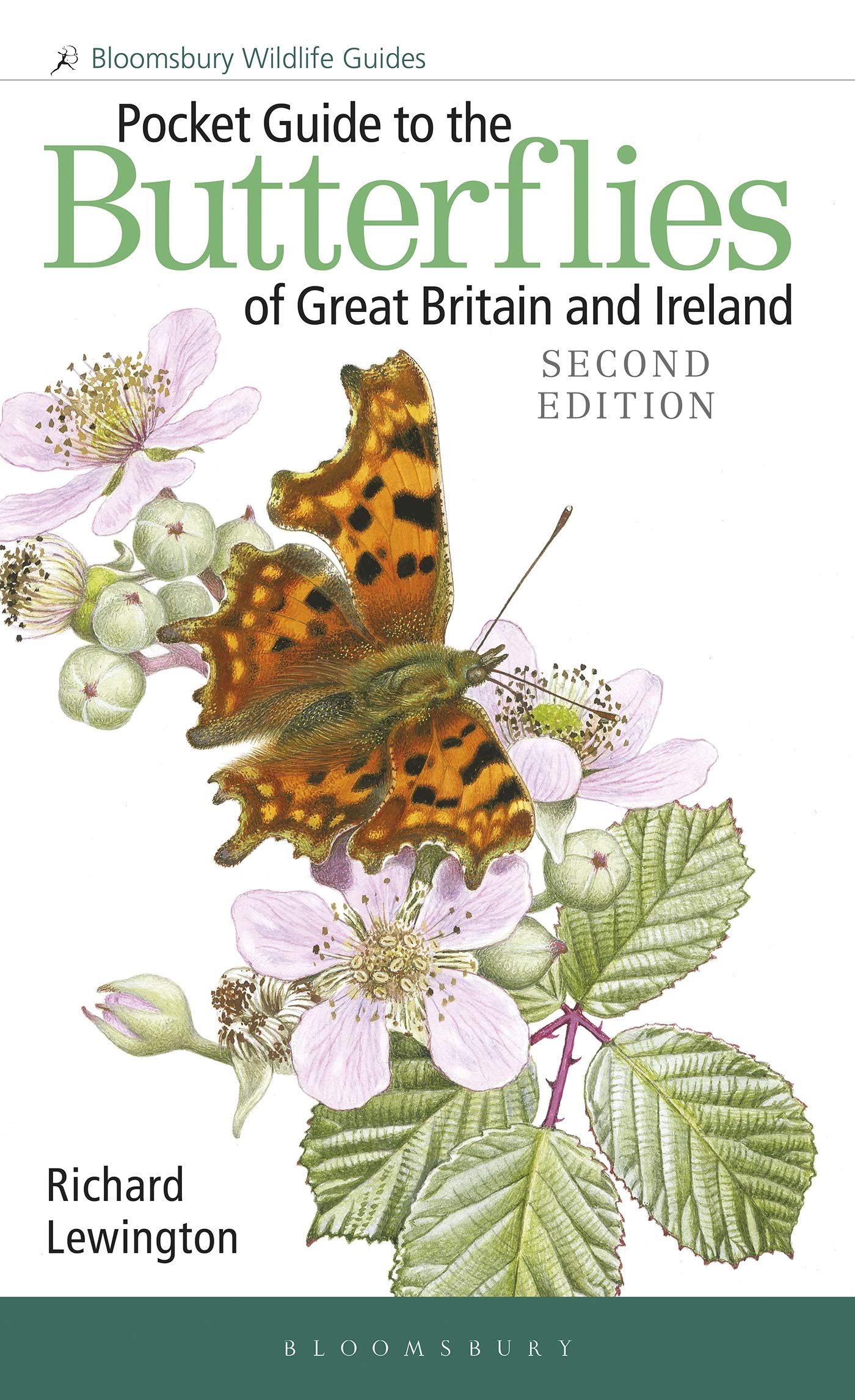 Pocket Guide to the Butterflies of Great Britain and Ireland (Bloomsbury Wildlife Guides) Mathematics