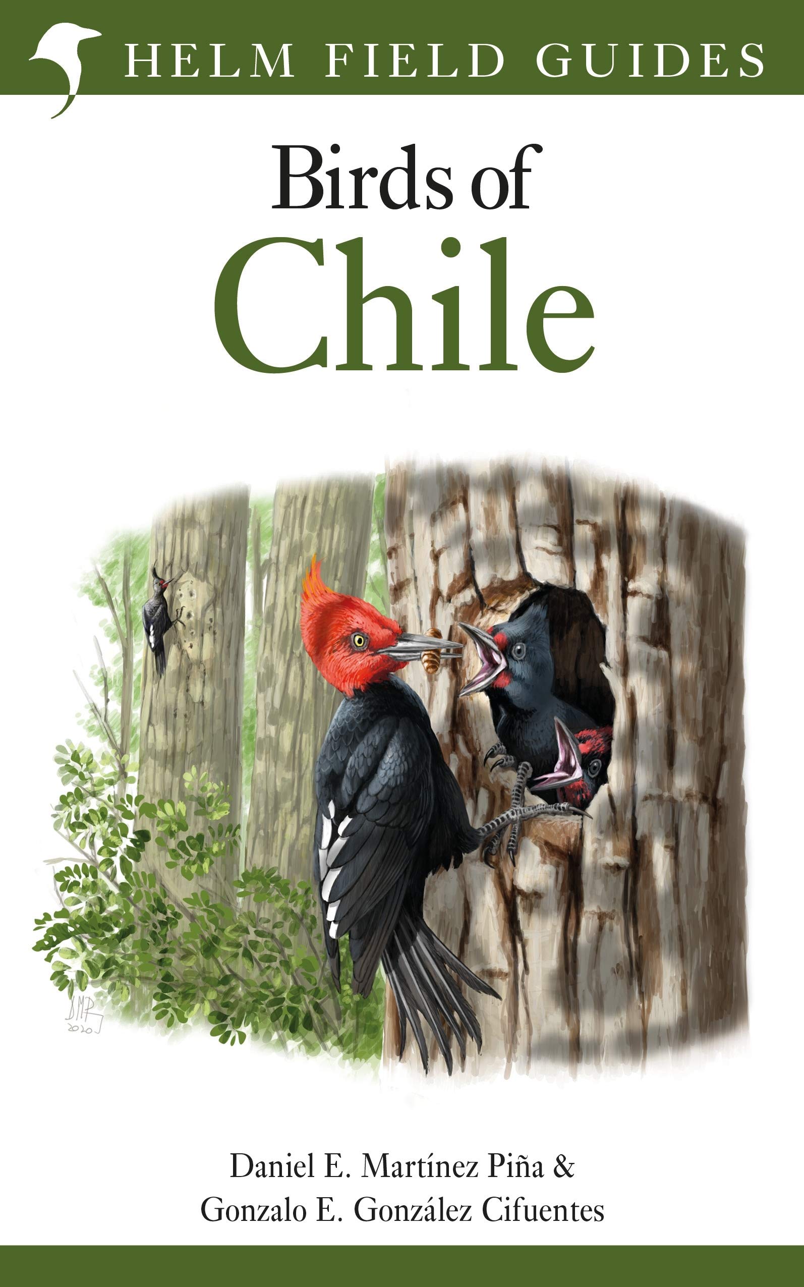 Field Guide to the Birds of Chile (Helm Field Guides) Leisure, Home & Garden