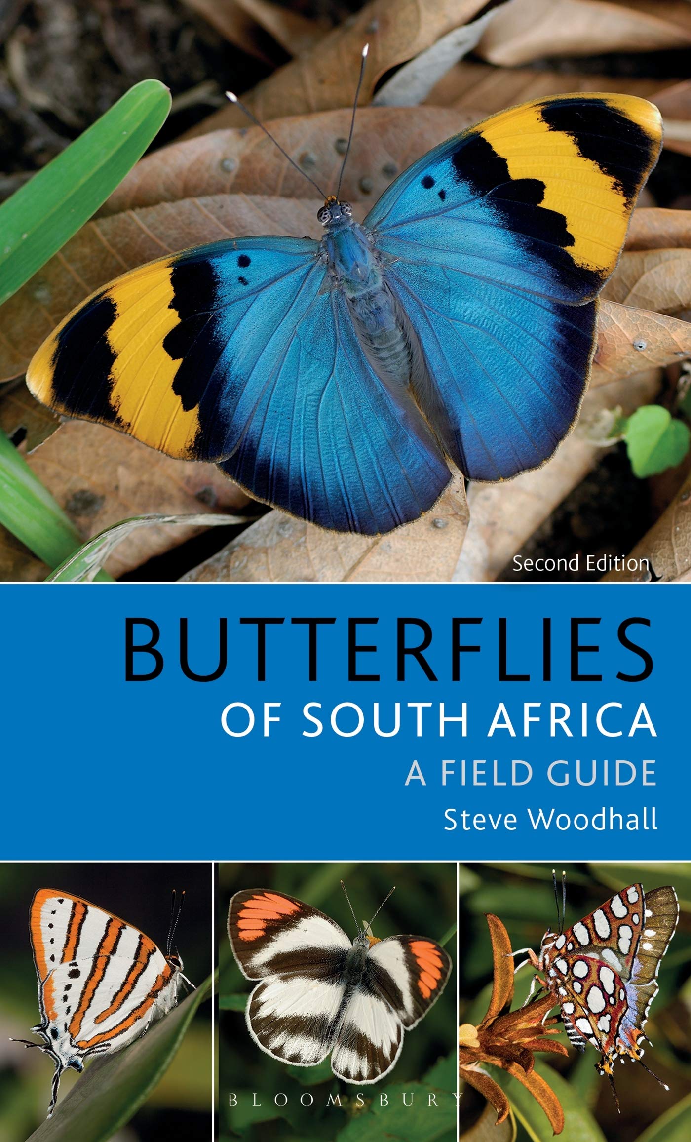 Field Guide to Butterflies of South Africa: Second Edition (Bloomsbury Naturalist) Mathematics