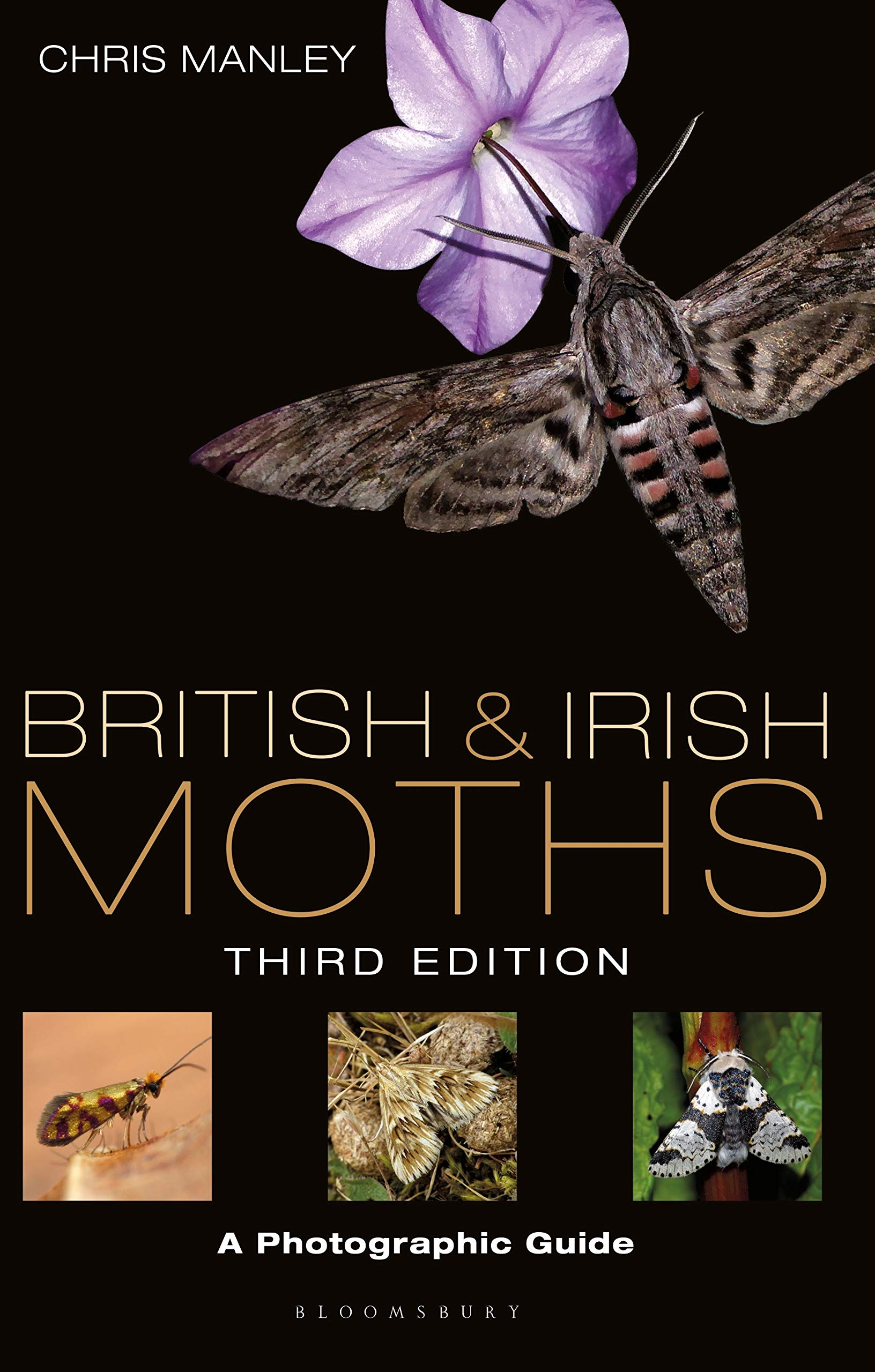 Product Image: British and Irish Moths: Third Edition