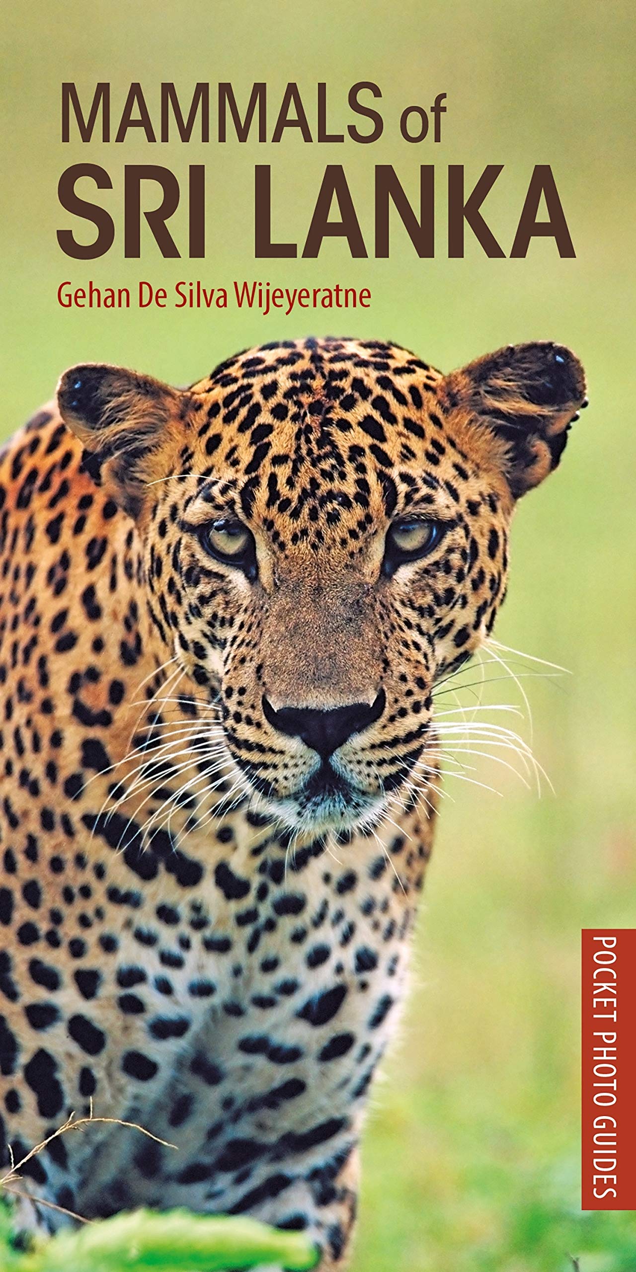 Mammals of Sri Lanka (Pocket Photo Guides) Leisure, Home & Garden