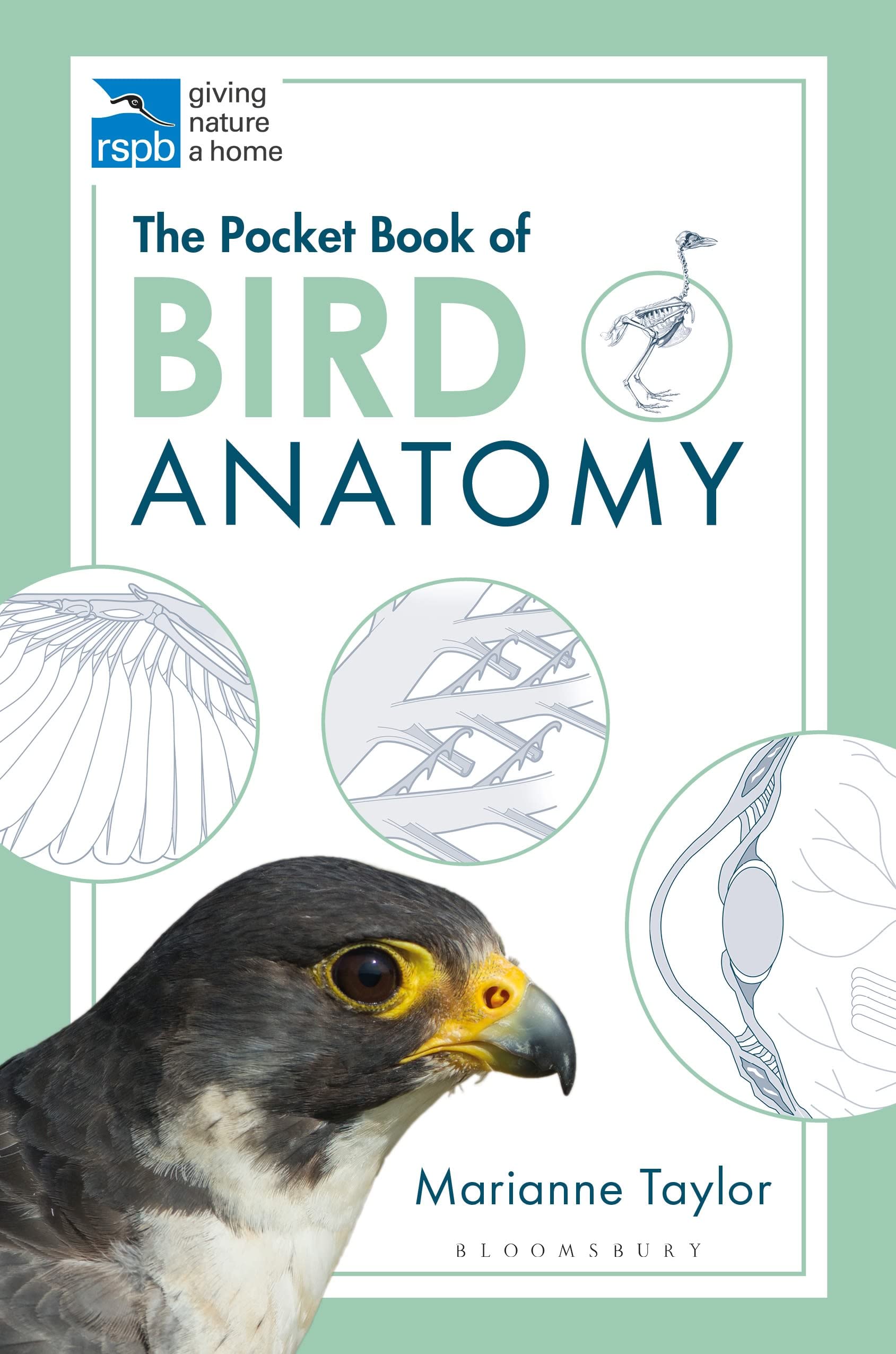 The Pocket Book of Bird Anatomy book