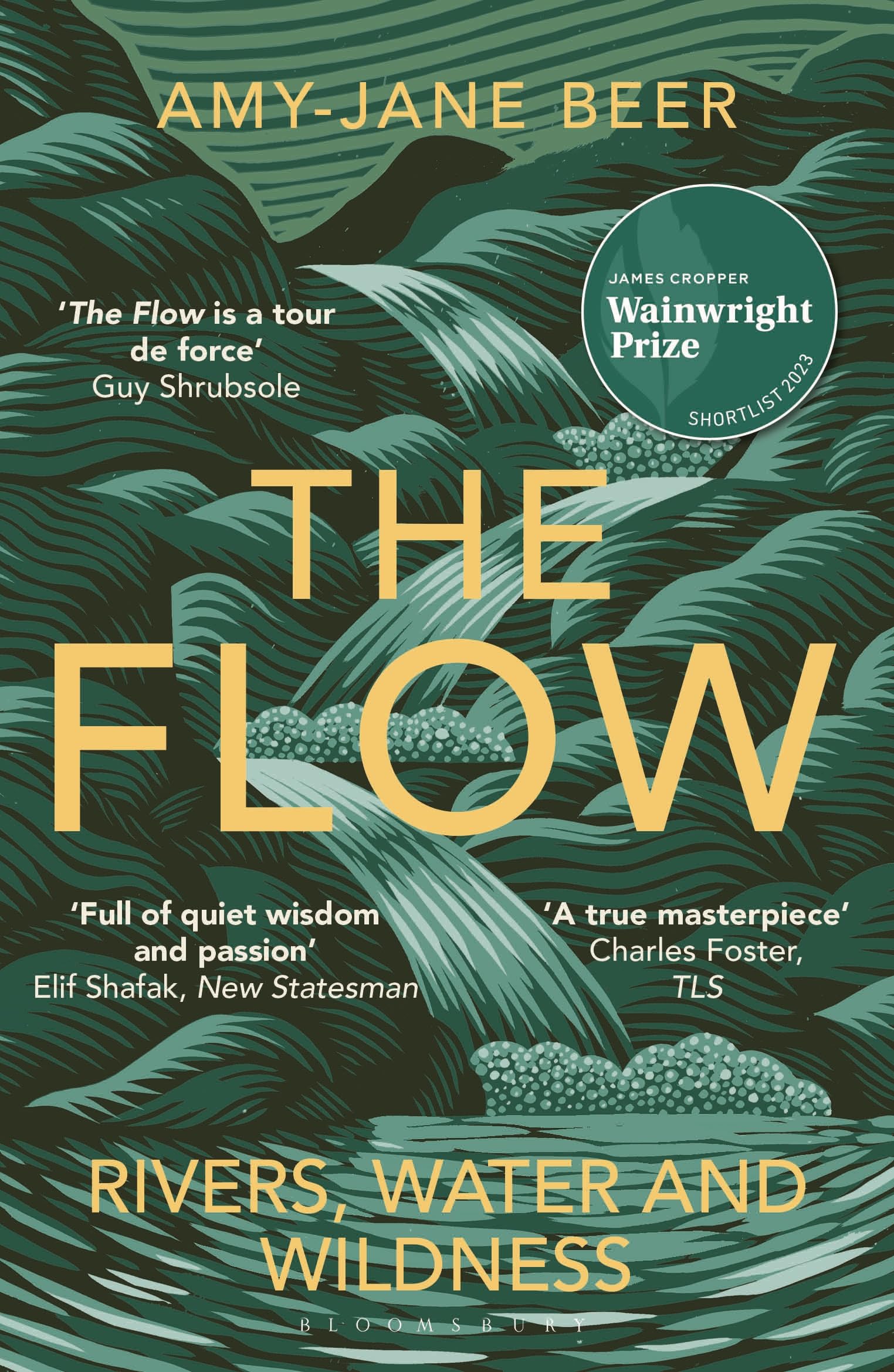 The Flow: Rivers, Water and Wildness – WINNER OF THE 2023 WAINWRIGHT PRIZE FOR NATURE WRITING Memories