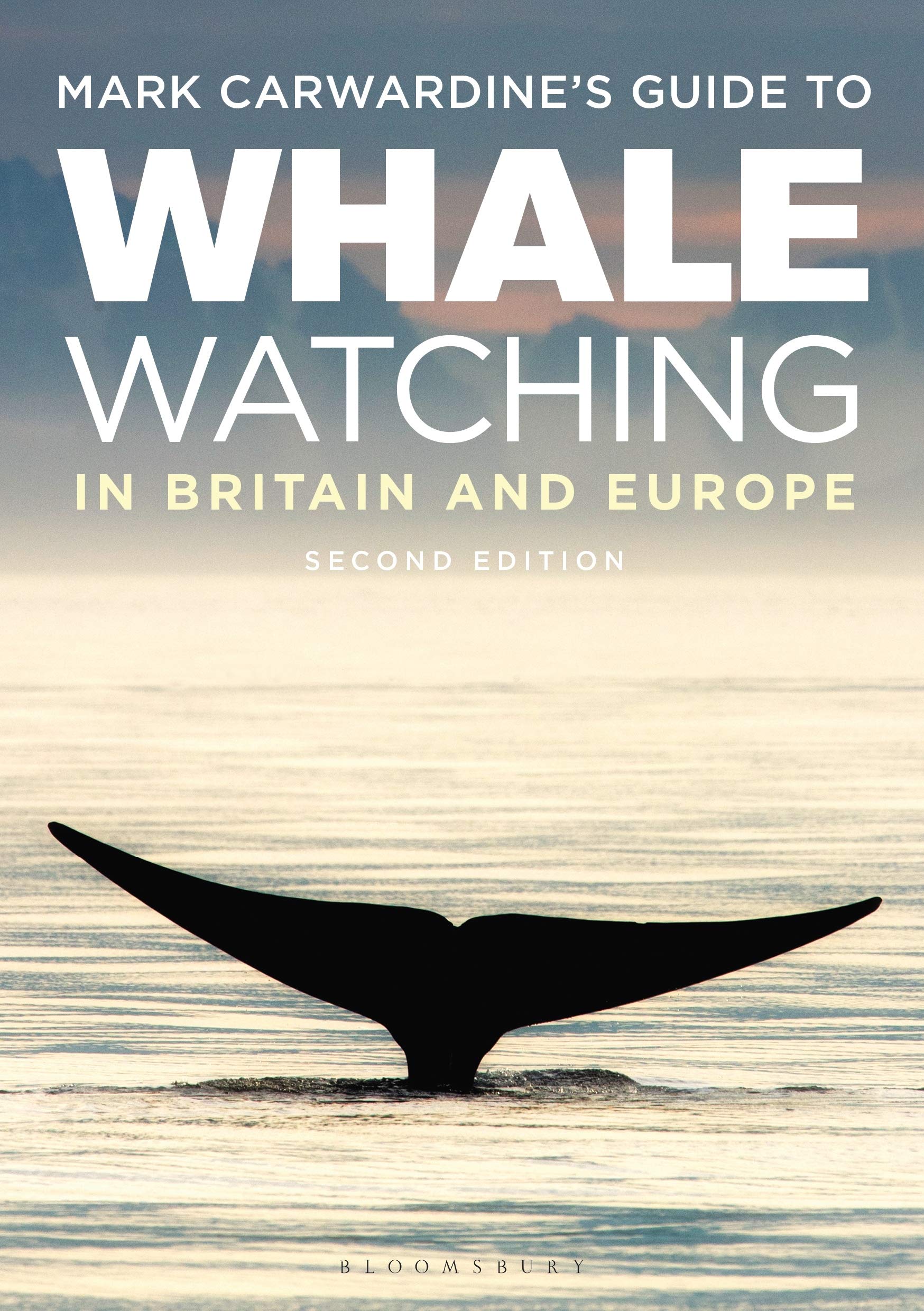 Mark Carwardine's Guide To Whale Watching In Britain And Europe: Second Edition book