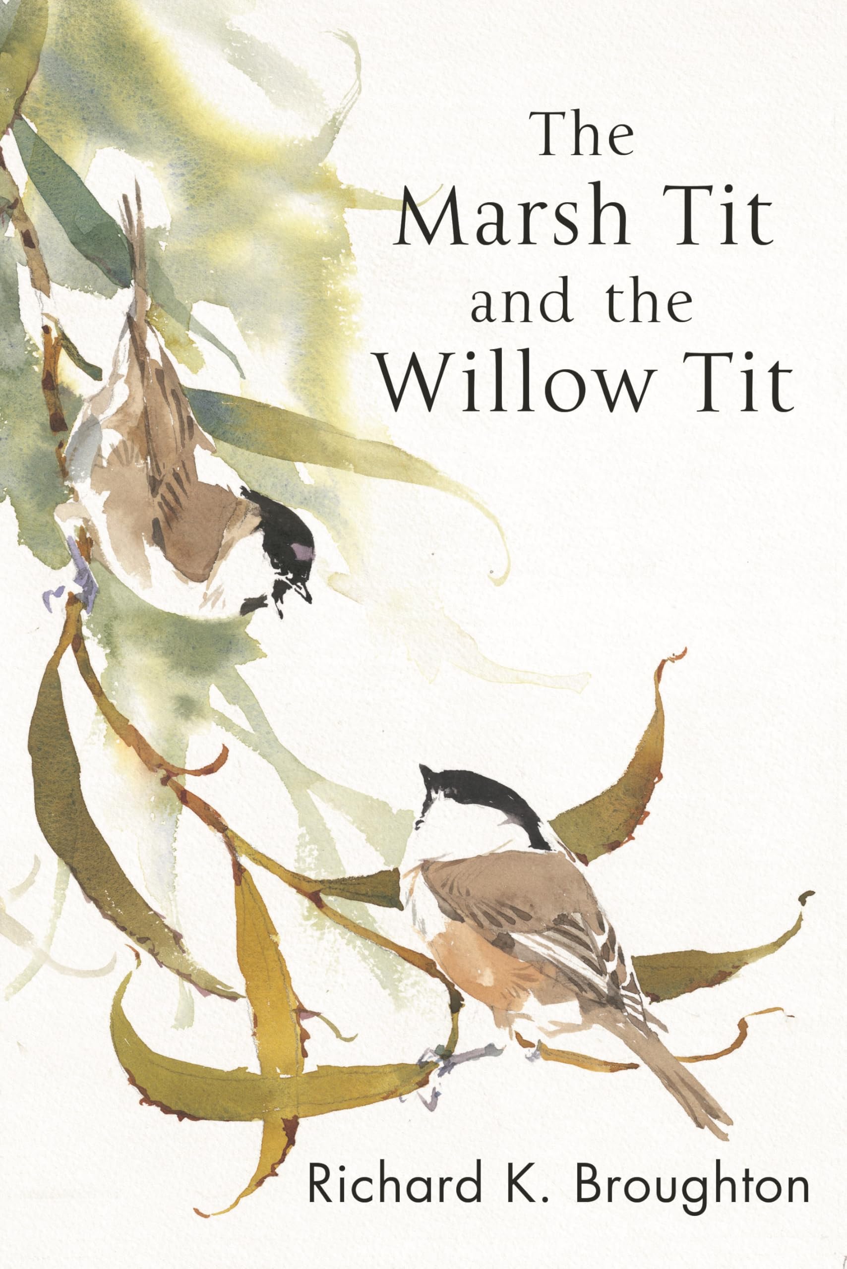 The Marsh Tit and The Willow Tit (Poyser Monographs) Mathematics