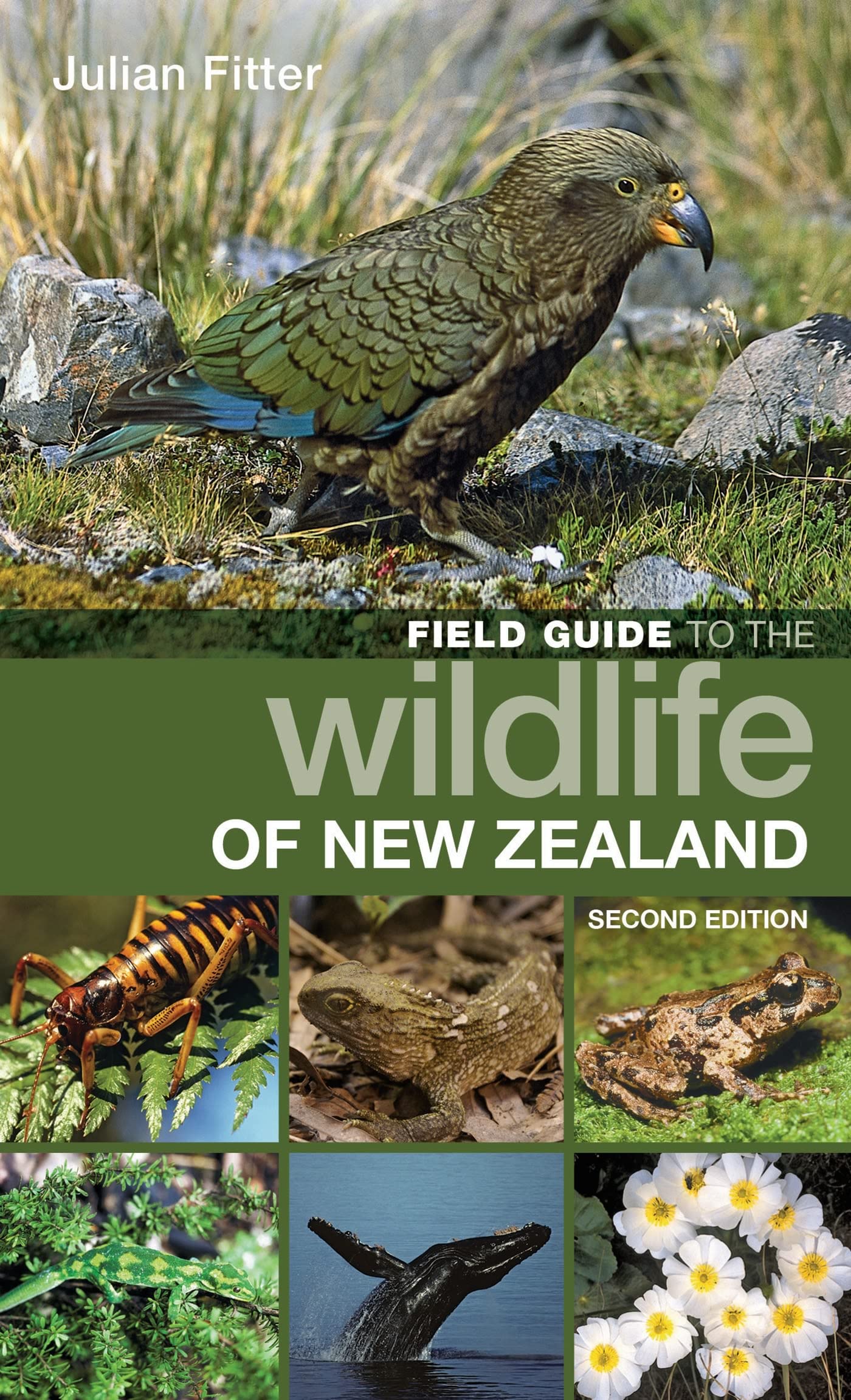 Field Guide to the Wildlife of New Zealand Mathematics
