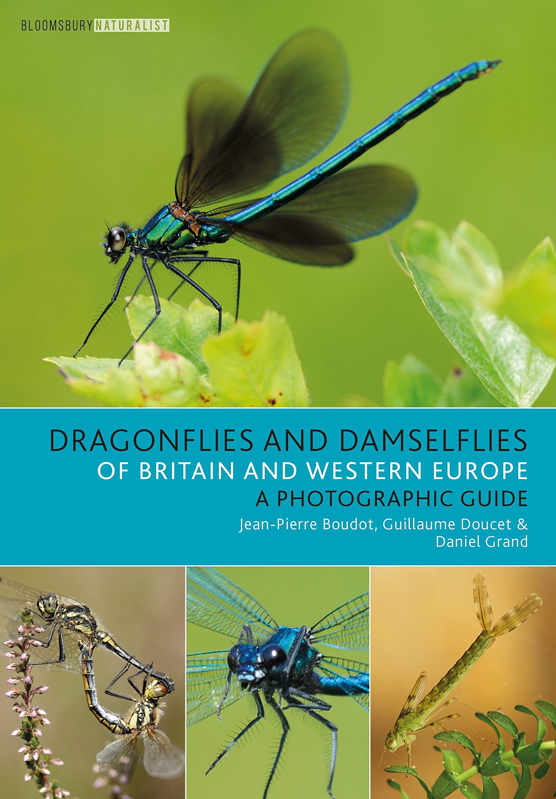 Dragonflies and Damselflies of Britain and Western Europe Mathematics