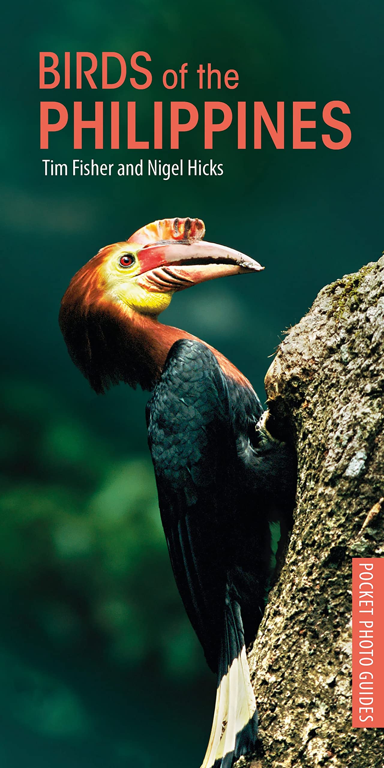 Birds of the Philippines Mathematics
