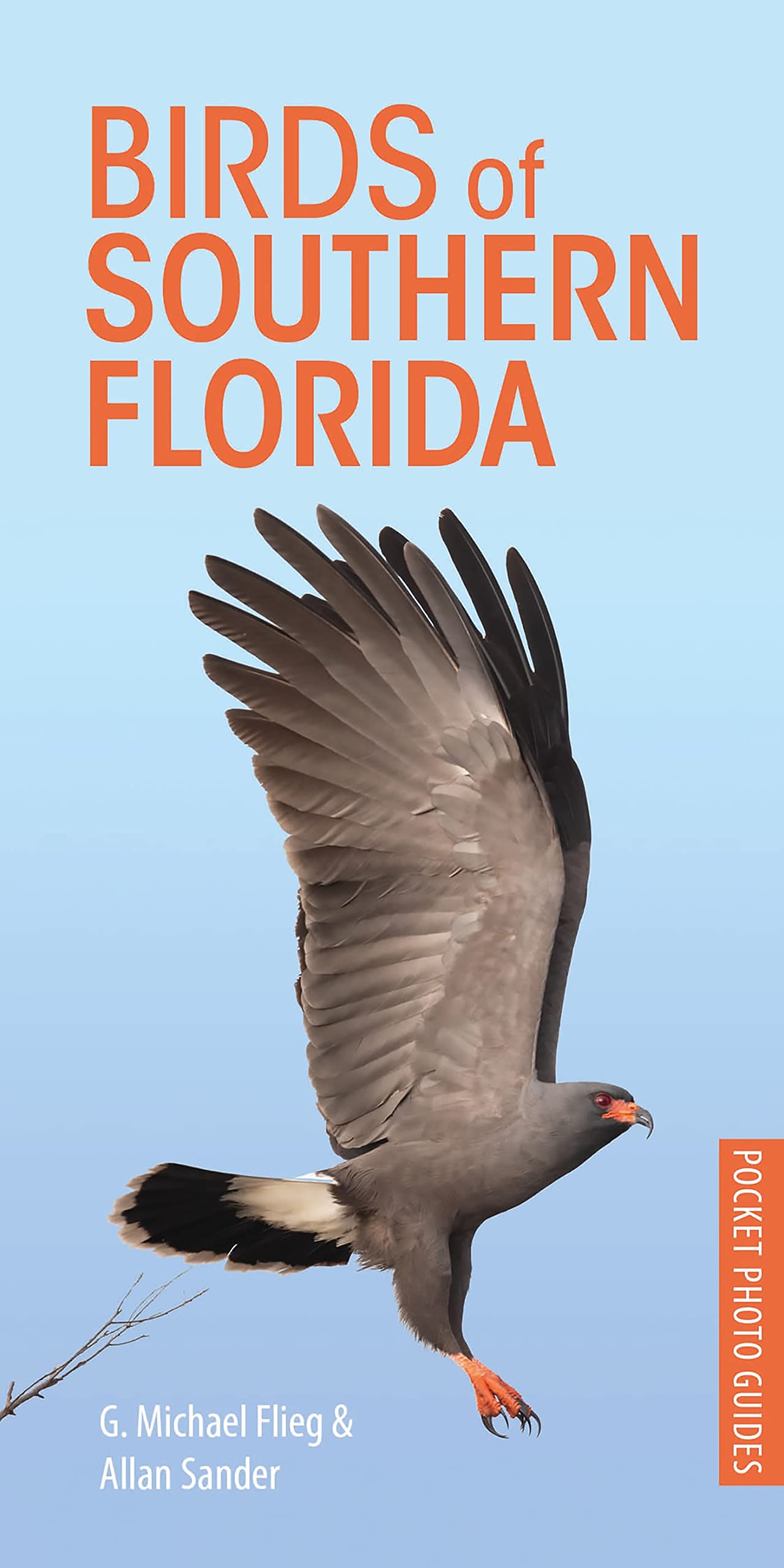 Birds of Southern Florida (Pocket Photo Guides) Mathematics