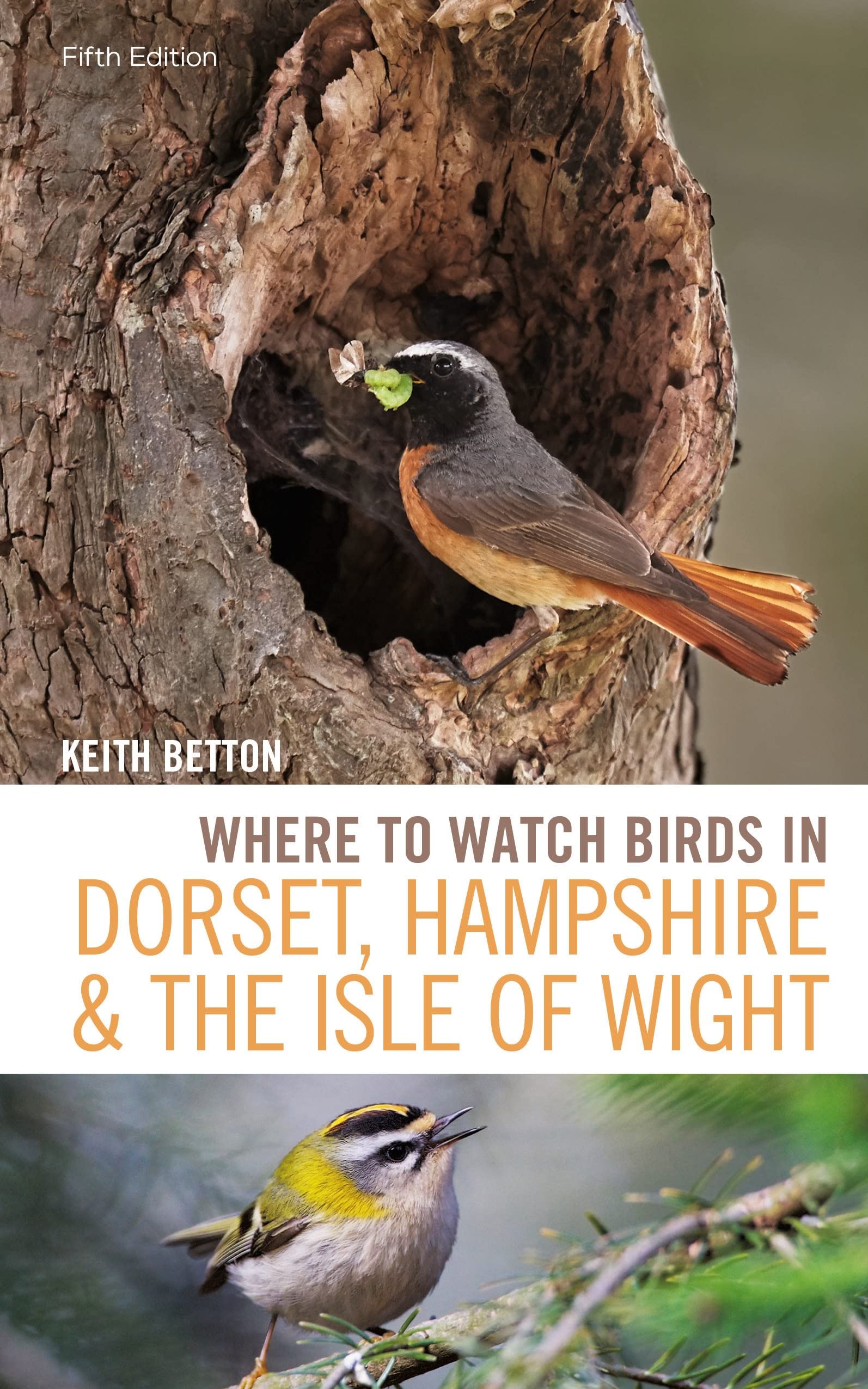 Where to Watch Birds in Dorset, Hampshire and the Isle of Wight Mathematics