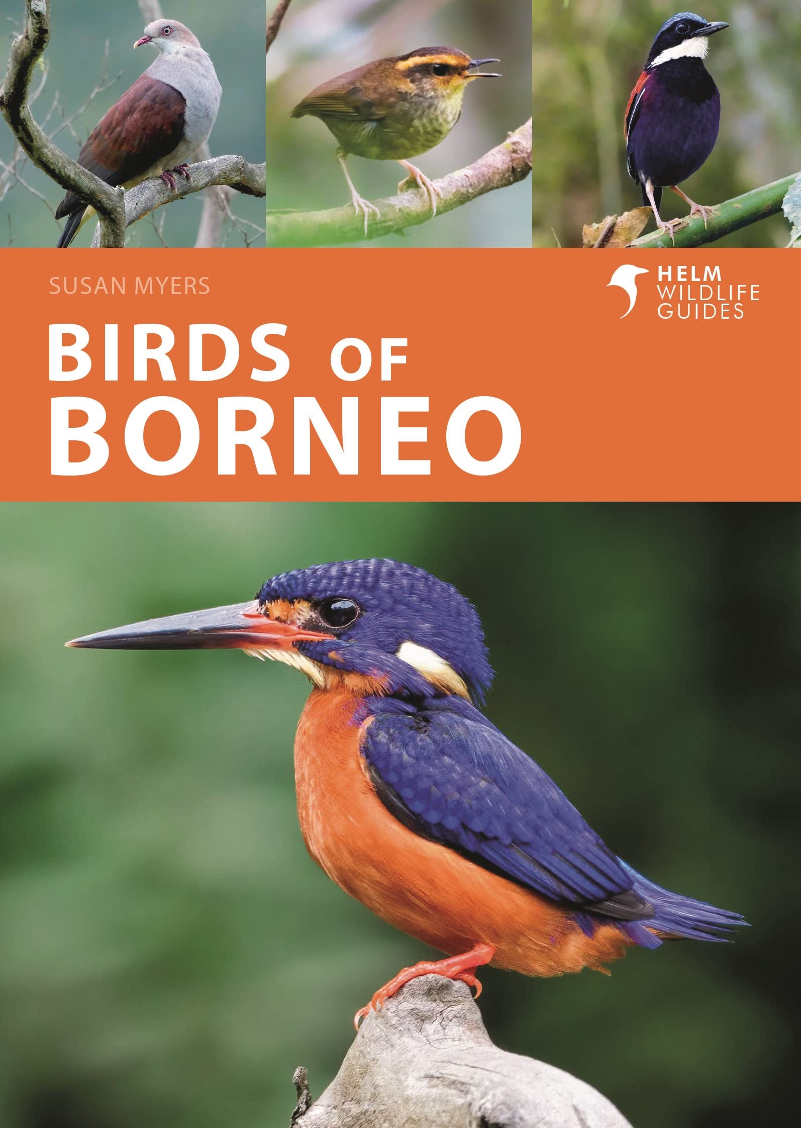 Birds of Borneo Mathematics