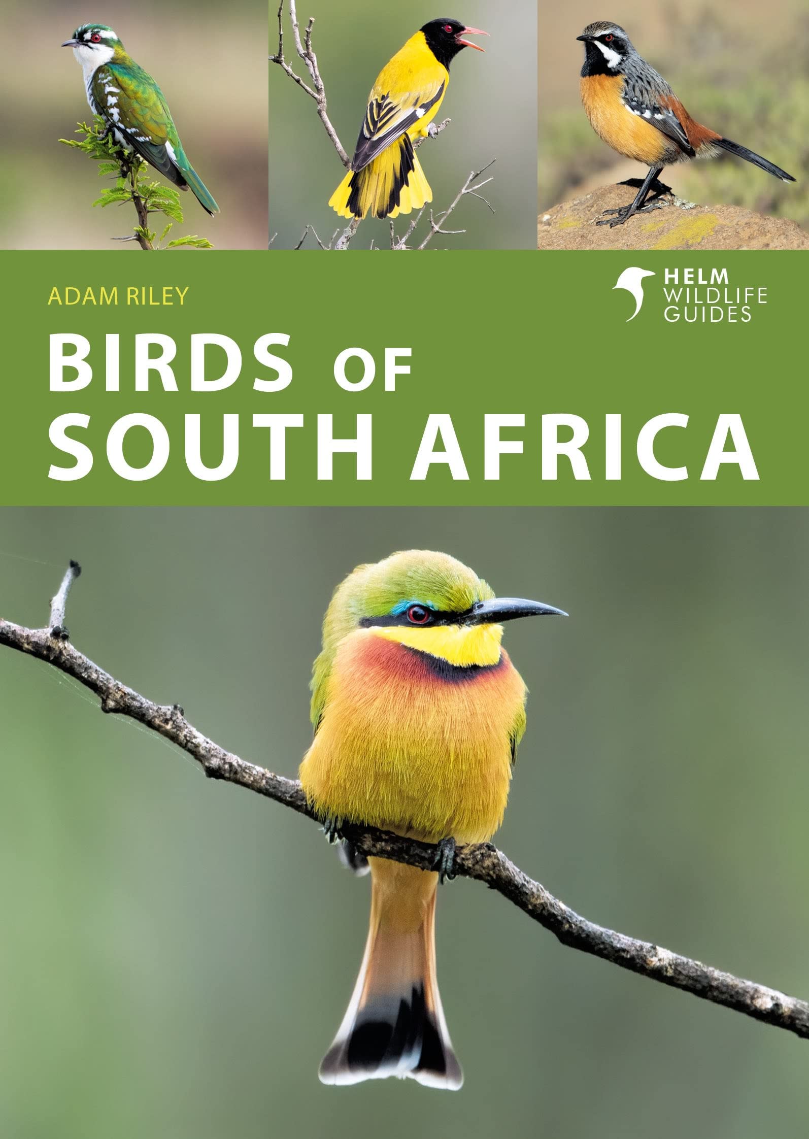 Birds of South Africa (Helm Wildlife Guides) Mathematics