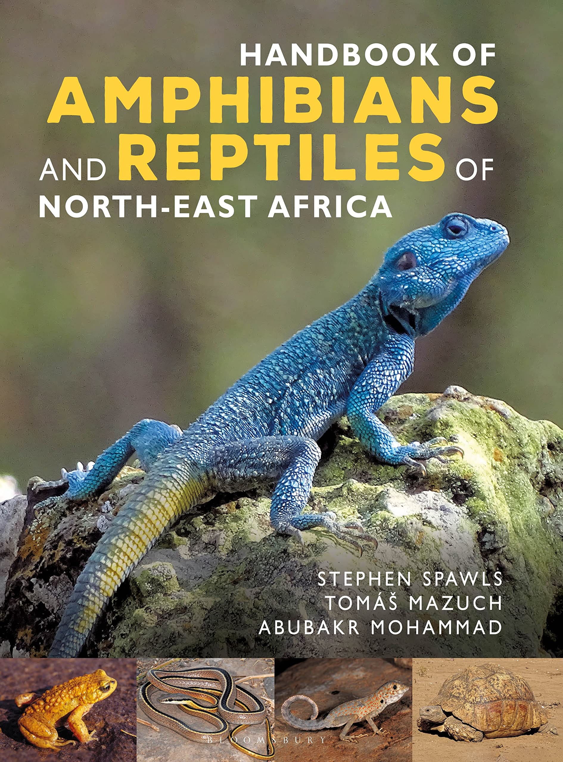 Handbook of Amphibians and Reptiles of North-east Africa Mathematics
