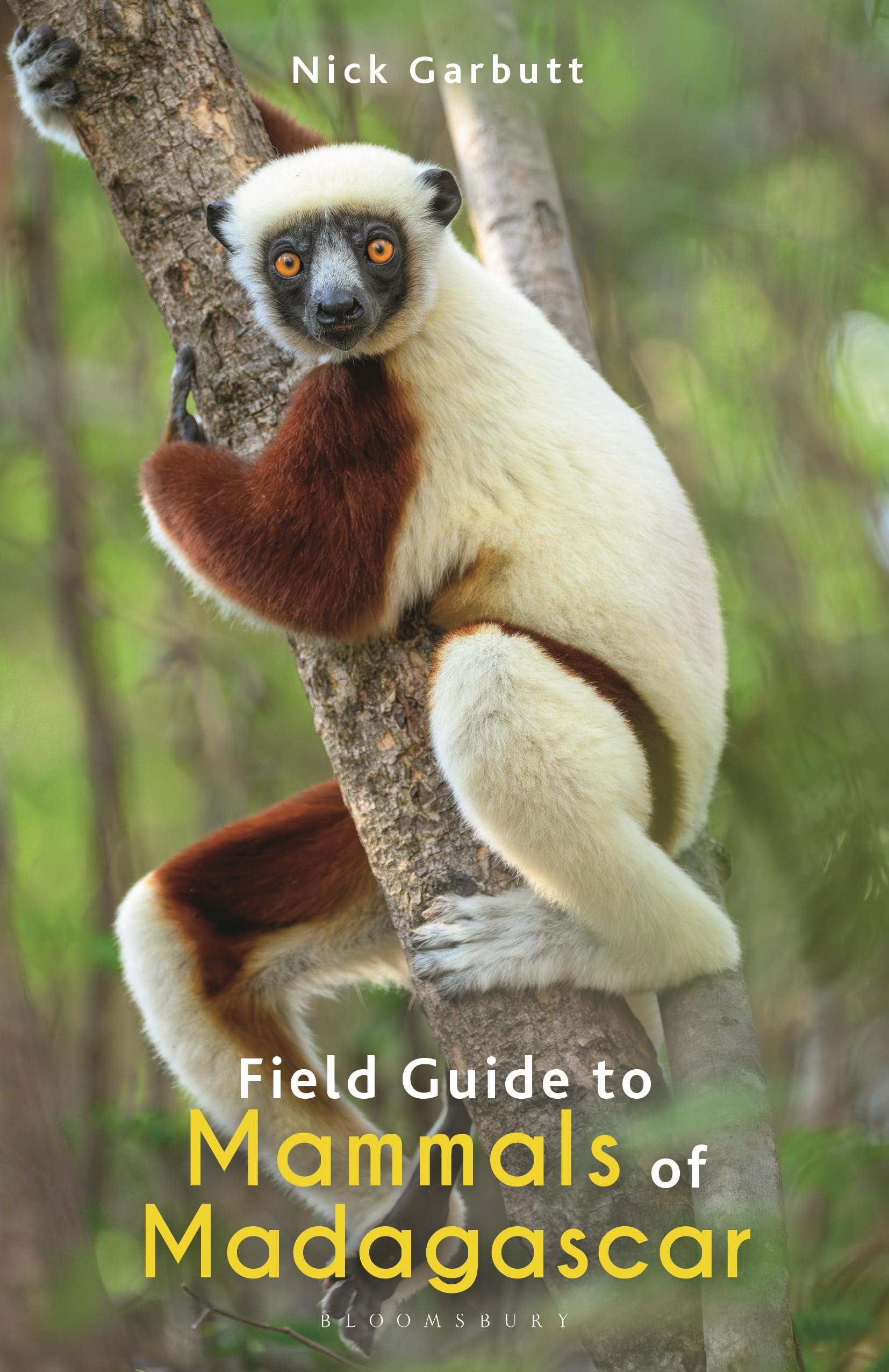 Field Guide to Mammals of Madagascar (Bloomsbury Naturalist) Mathematics