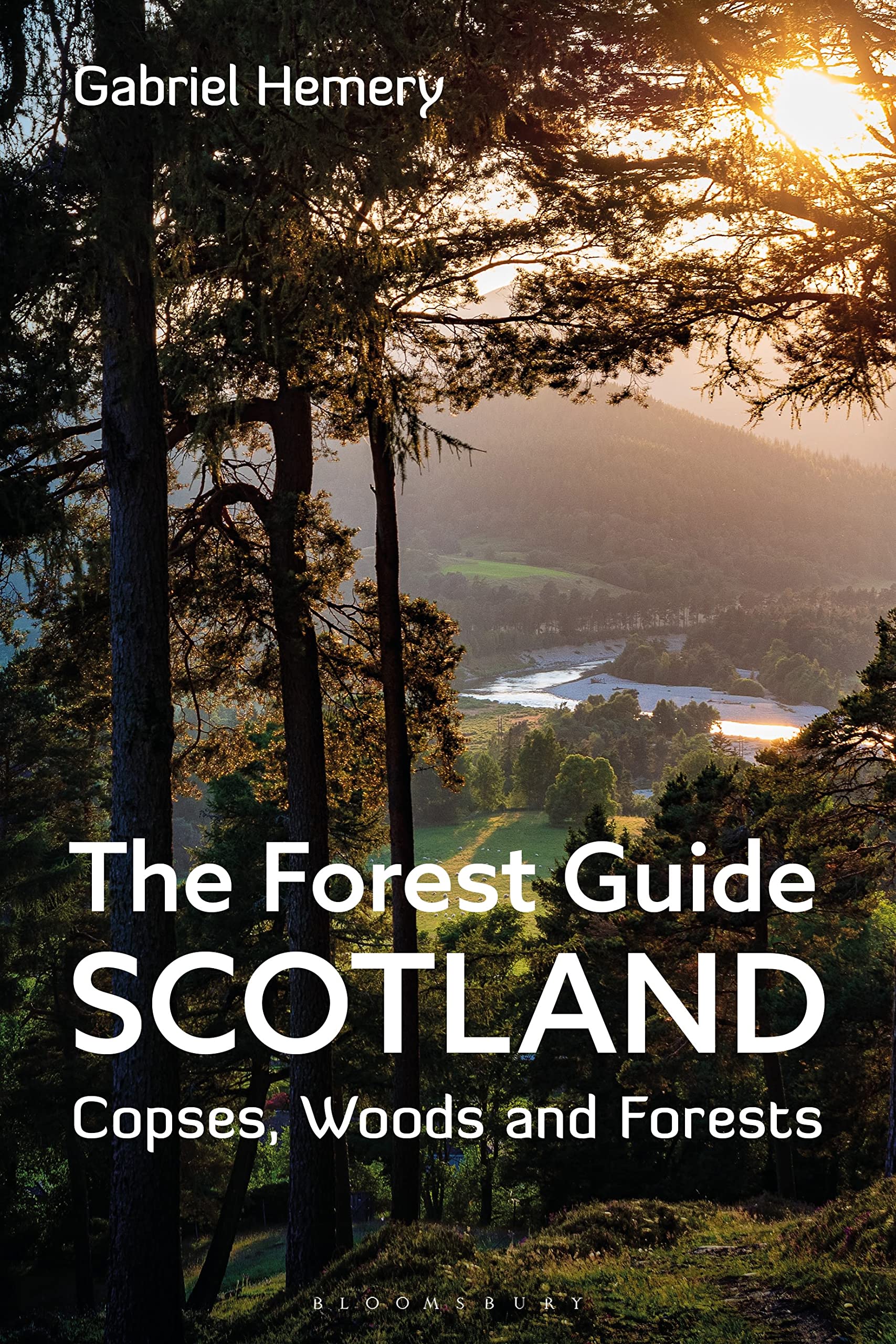The Forest Guide: Scotland: Copses, Woods and Forests of Scotland Geology & Geography