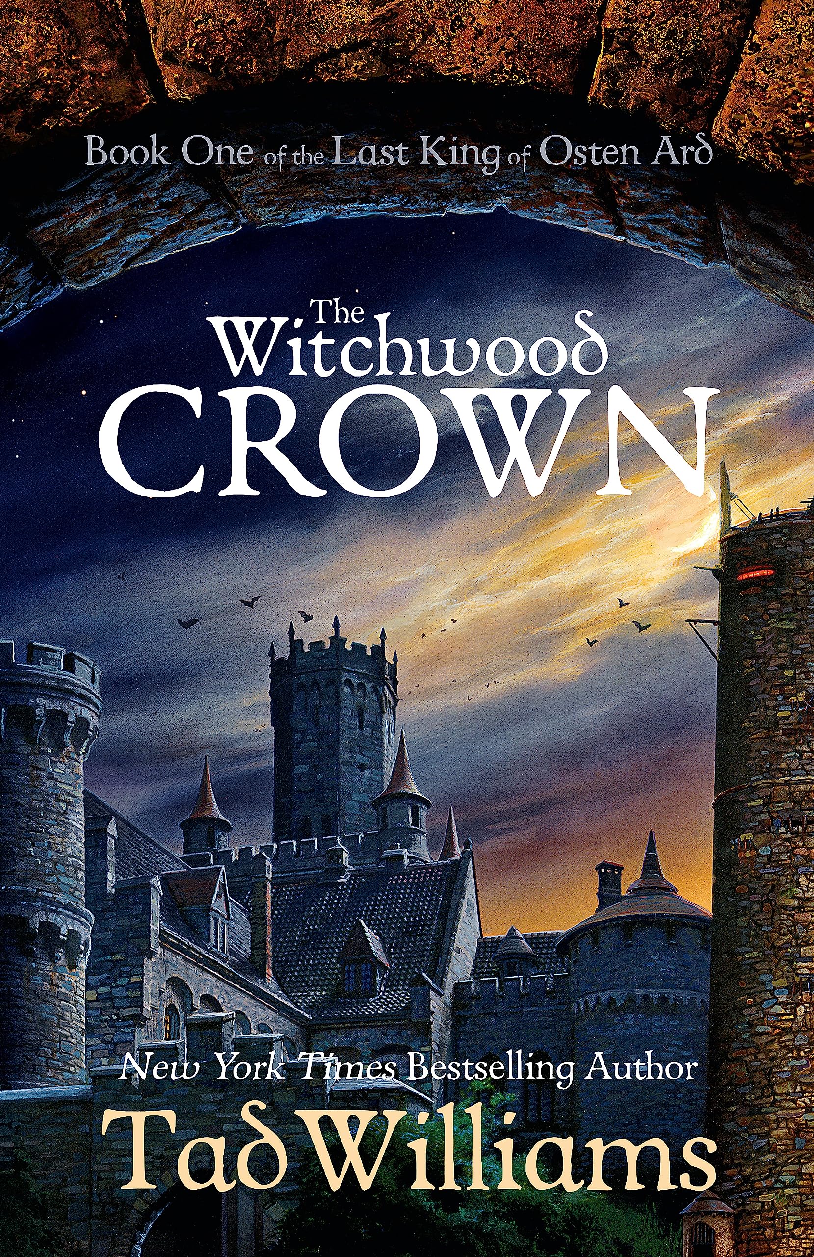 The Witchwood Crown Contemporary literature Books