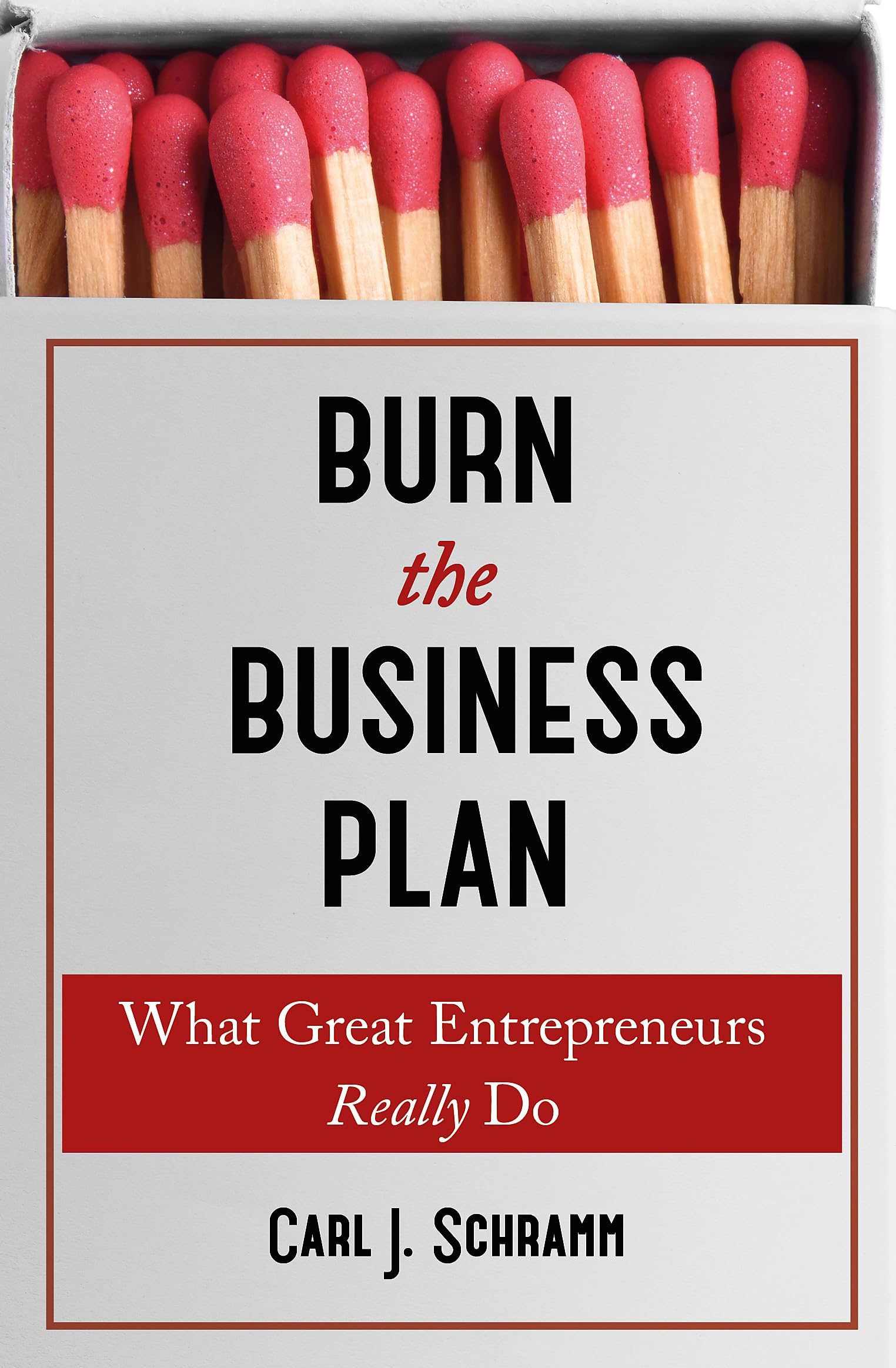 Burn The Business Plan: What Great Entrepreneurs Really Do Business, Finance & Career