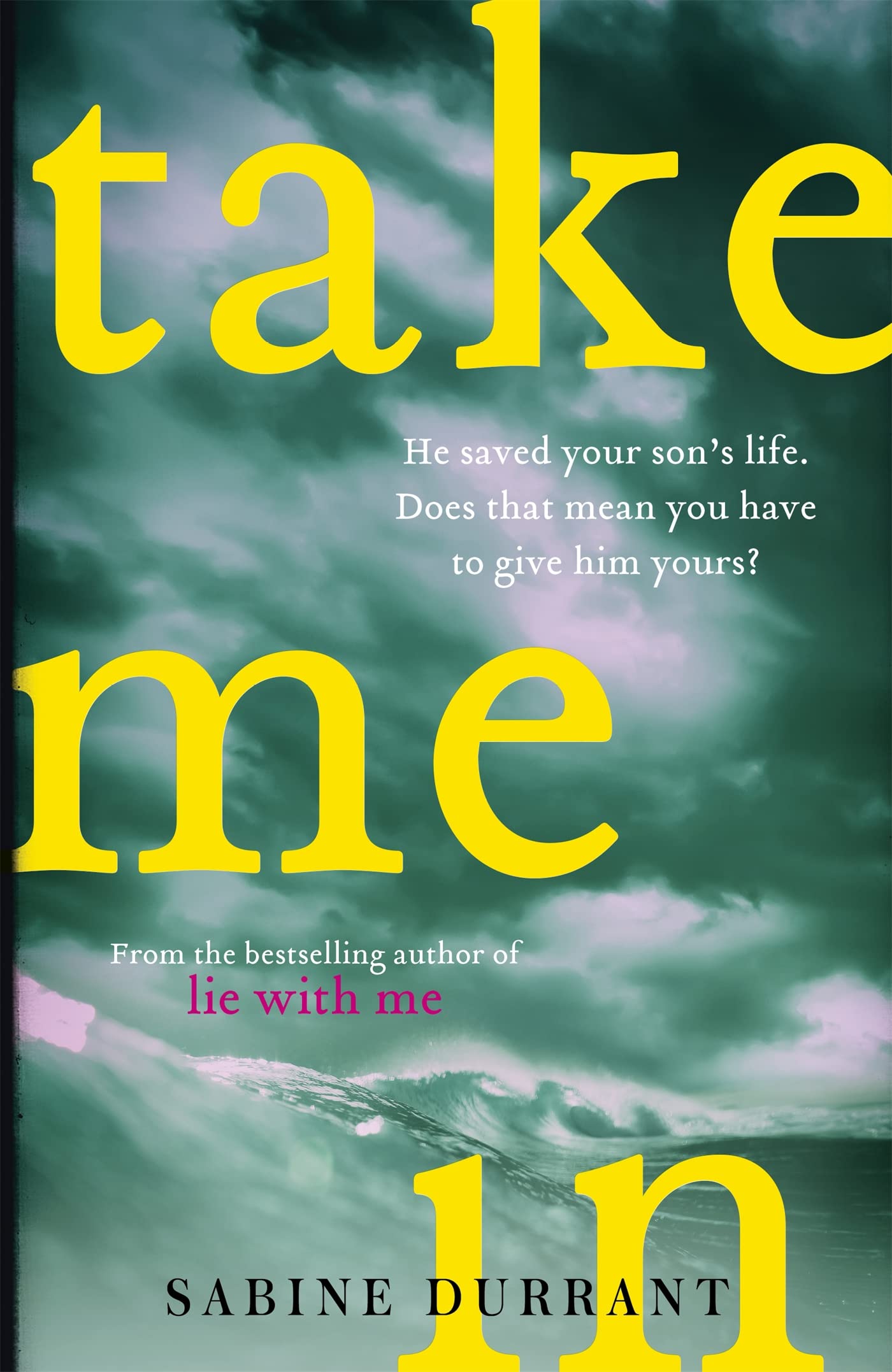 Take Me In: the twisty, unputdownable thriller from the bestselling author of Lie With Me Contemporary literature