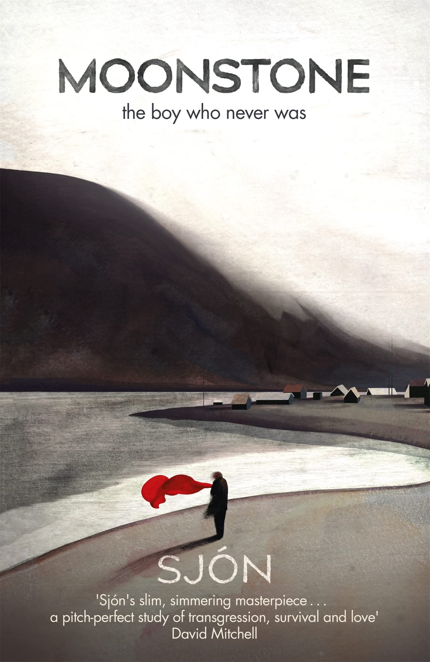 Moonstone: The Boy Who Never Was Contemporary literature Books