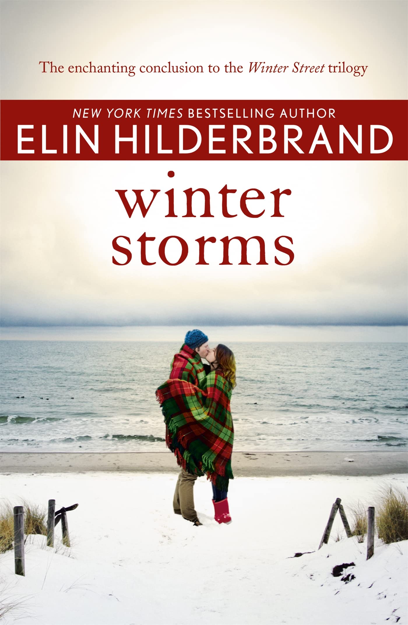 Winter Storms Contemporary literature Books