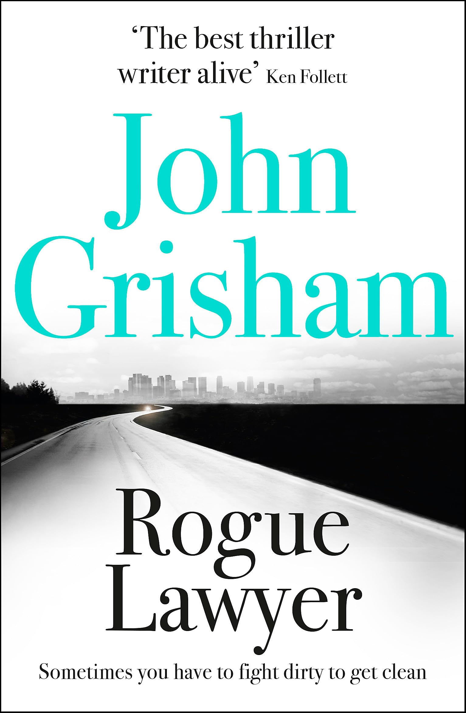 Rogue Lawyer Contemporary literature Books