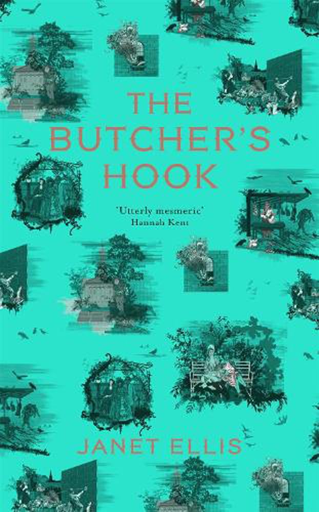 The Butcher's Hook: a dark and twisted tale of Georgian London book