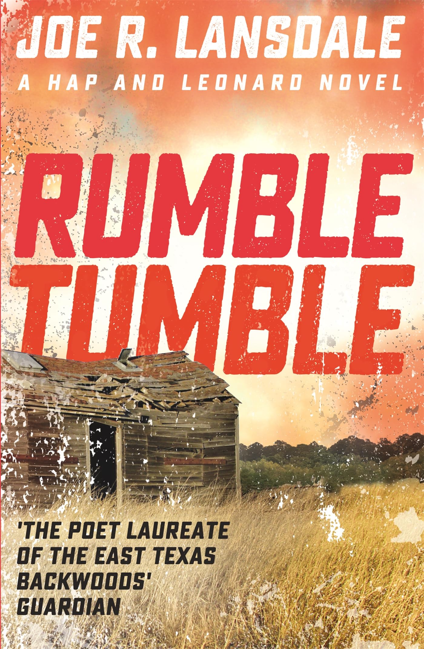Rumble Tumble: Hap and Leonard Book 5 (Hap and Leonard Thrillers) Action & Adventure