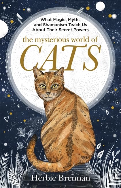 Mysterious World of Cats: The ultimate gift book for people who are bonkers about their cat Mathematics