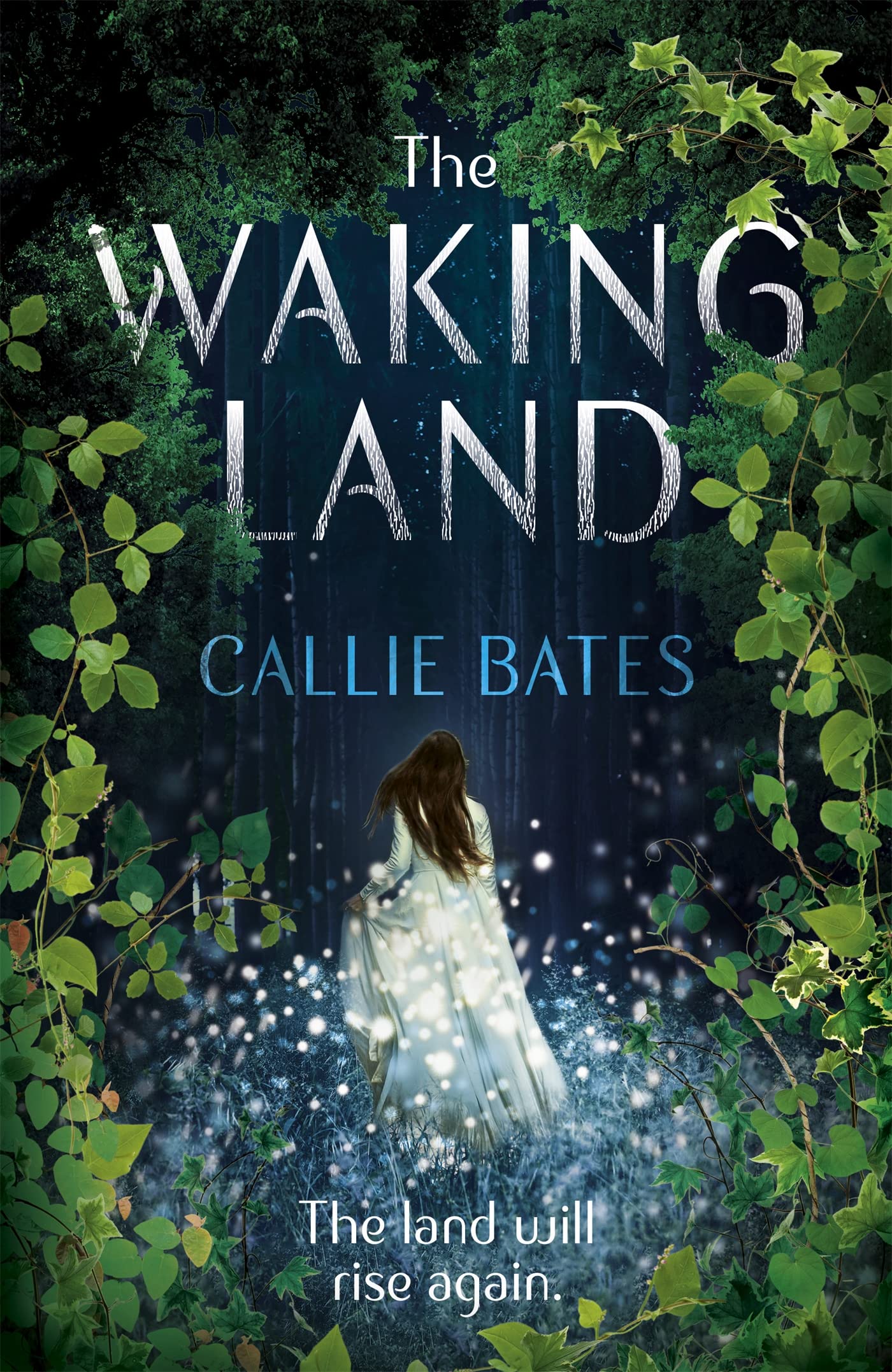 The Waking Land (The Waking Land Series) Contemporary literature